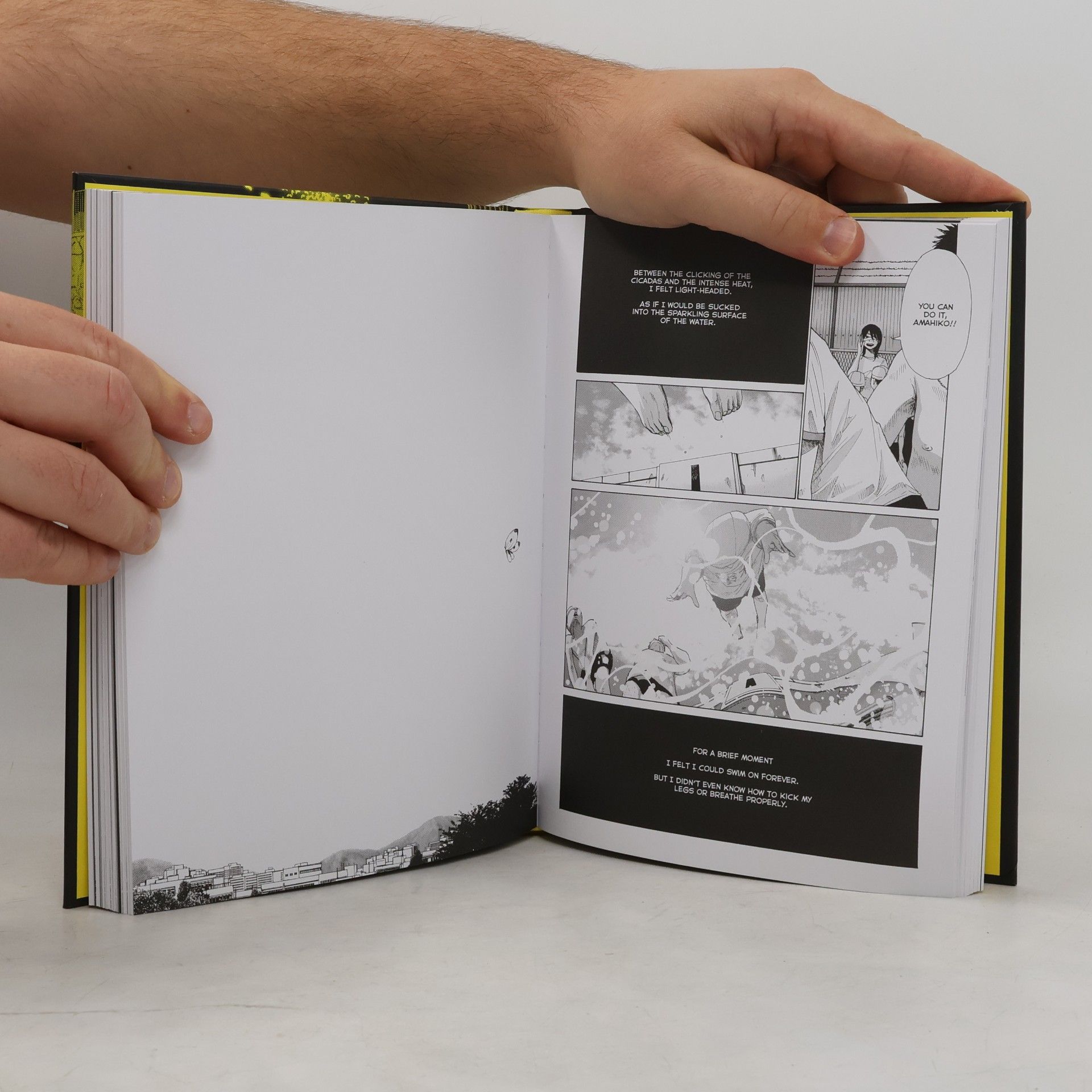Inio Asano Nijigahara Holograph