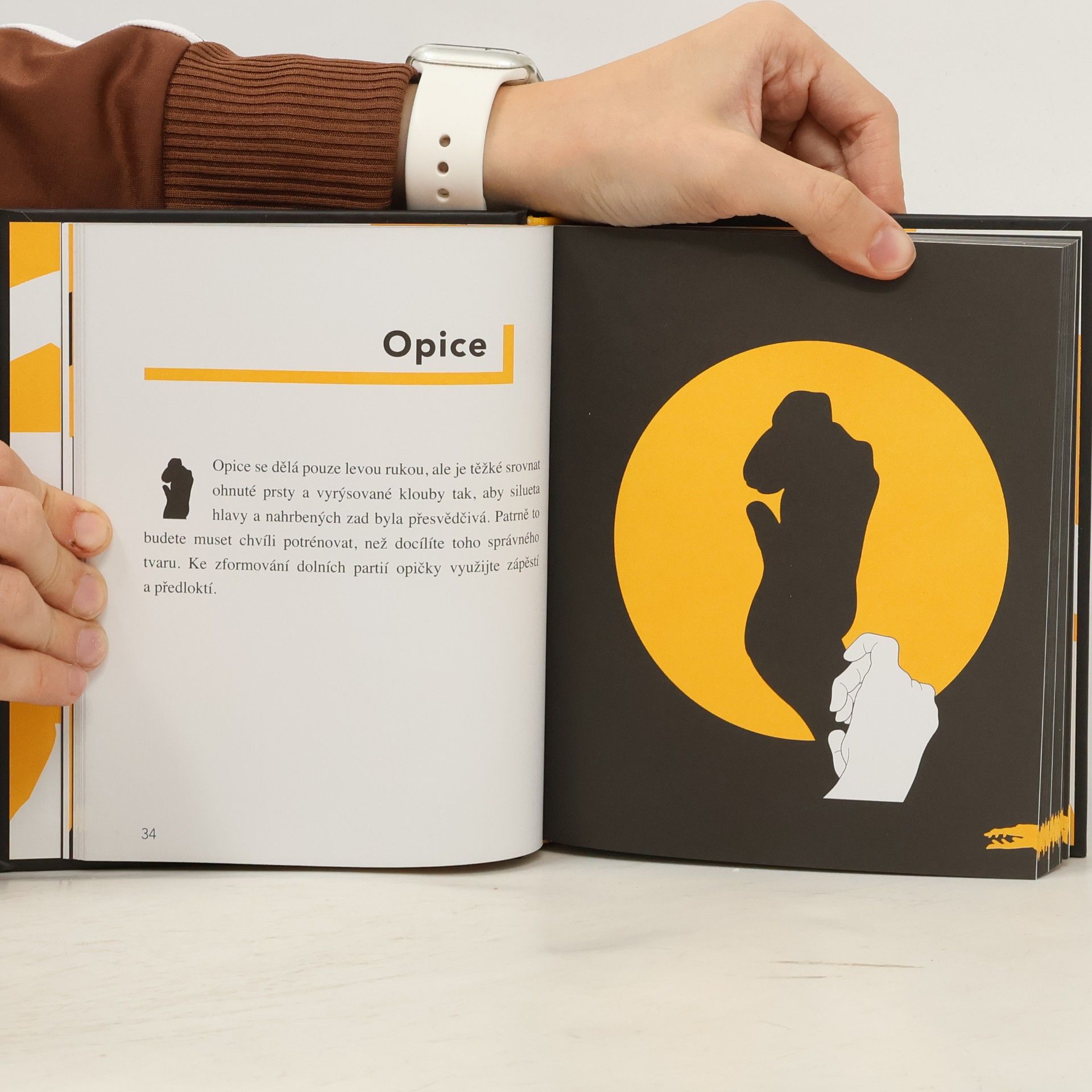 Sophie Collins Stínohra : 75 stínových zvířátek