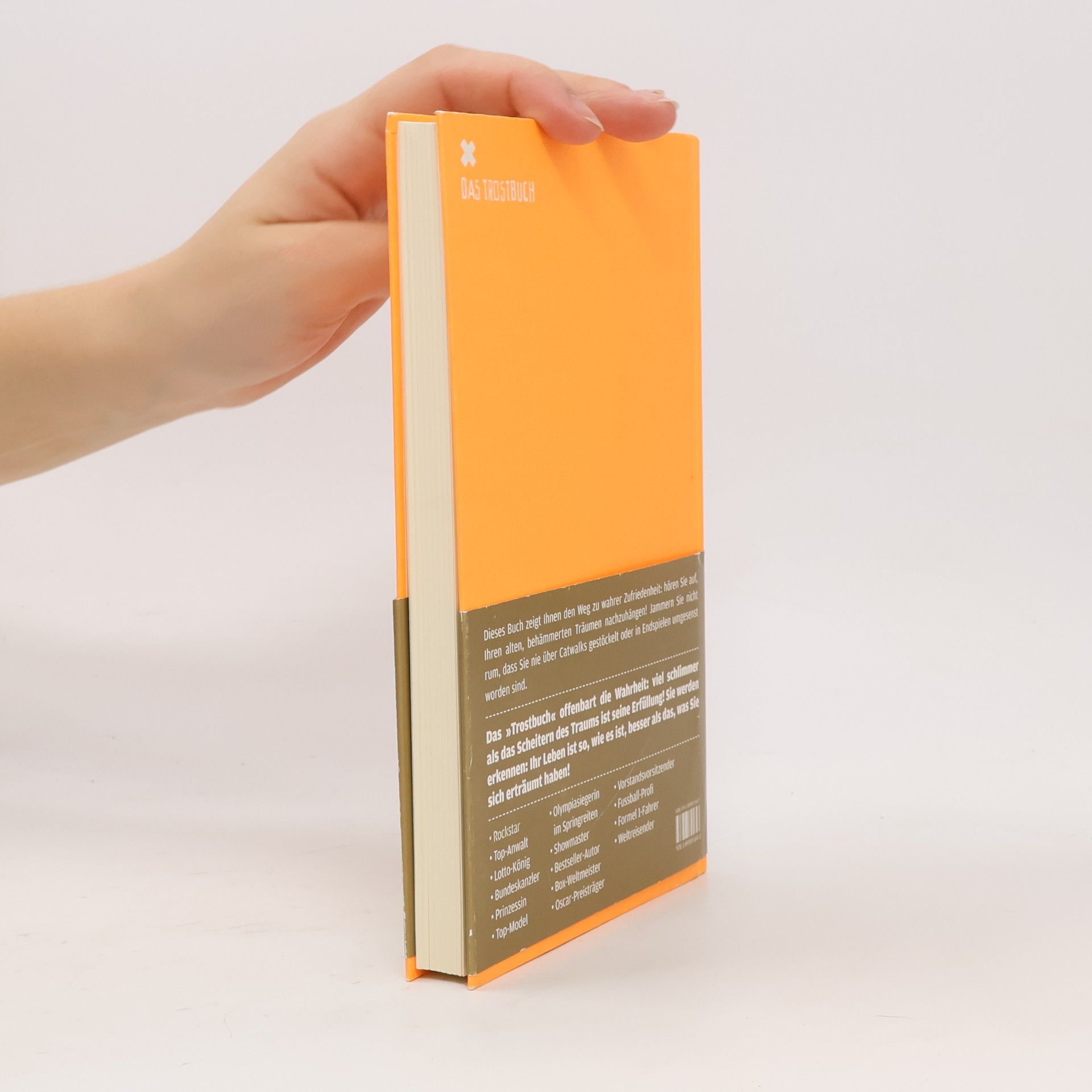 Lou Richter Das Trostbuch