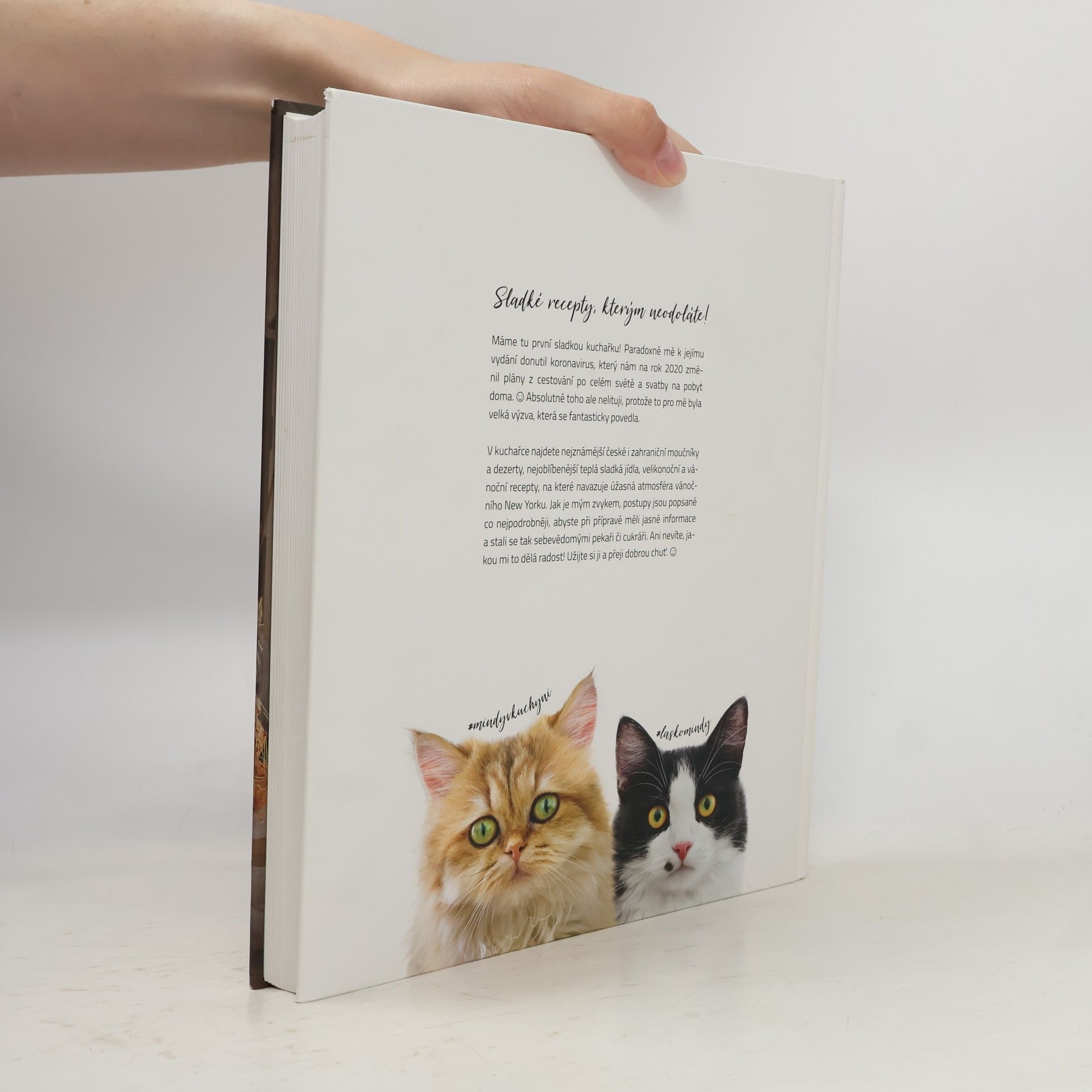 Ivka Jindřichová Cat & Cook Sladká