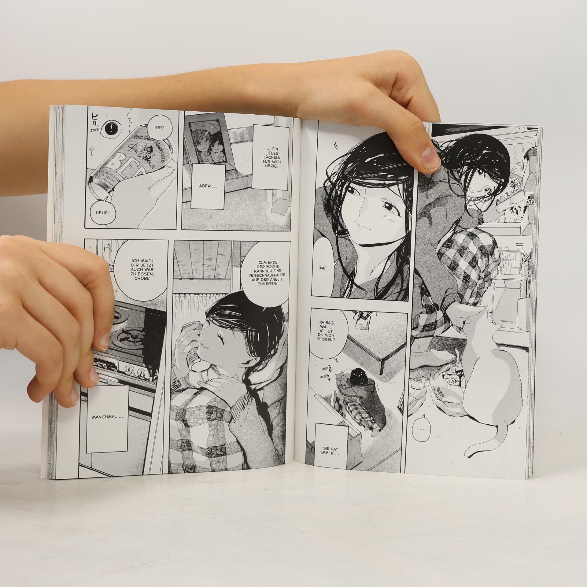 Makoto Šinkai She and her Cat