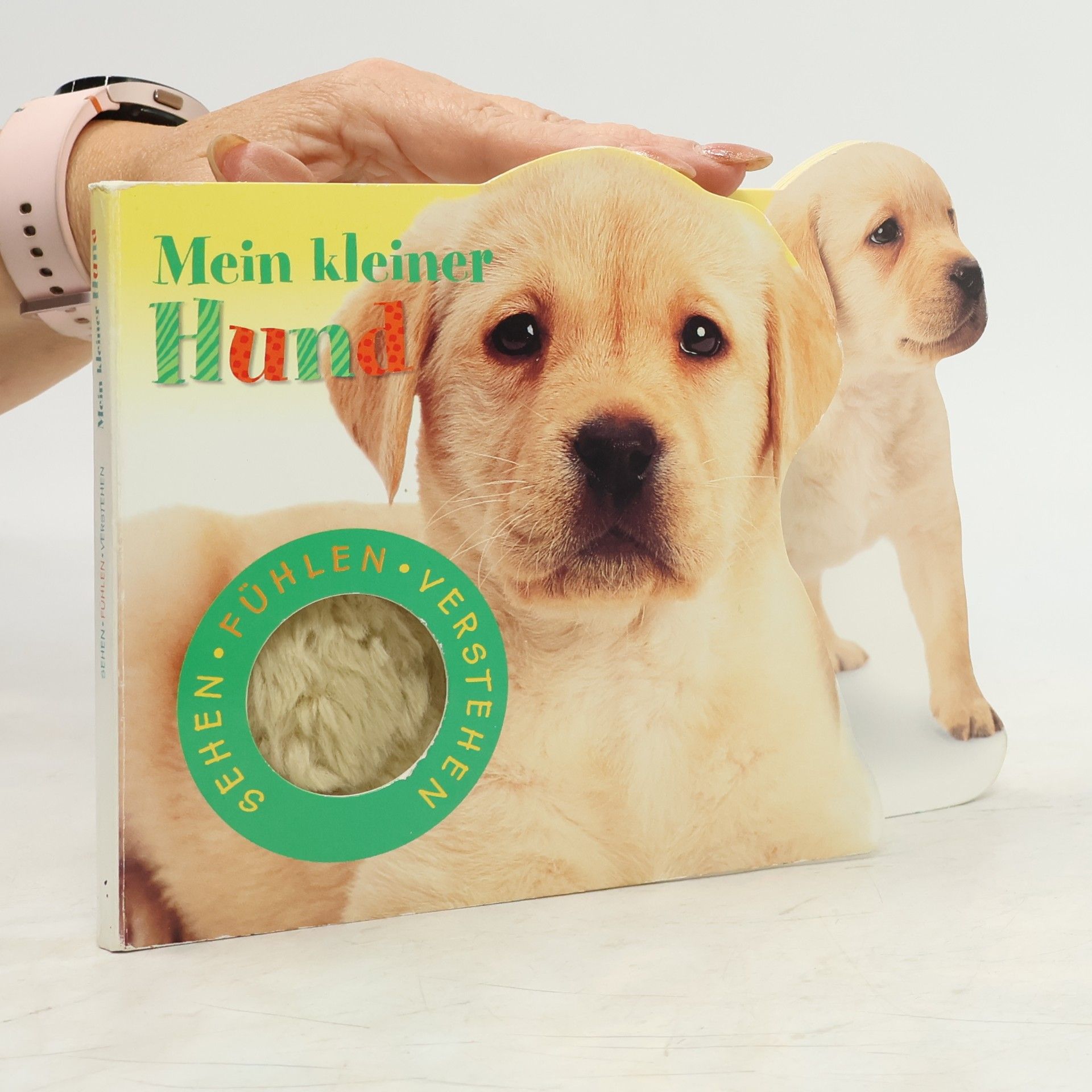 Autorenkollektiv Mein kleiner Hund