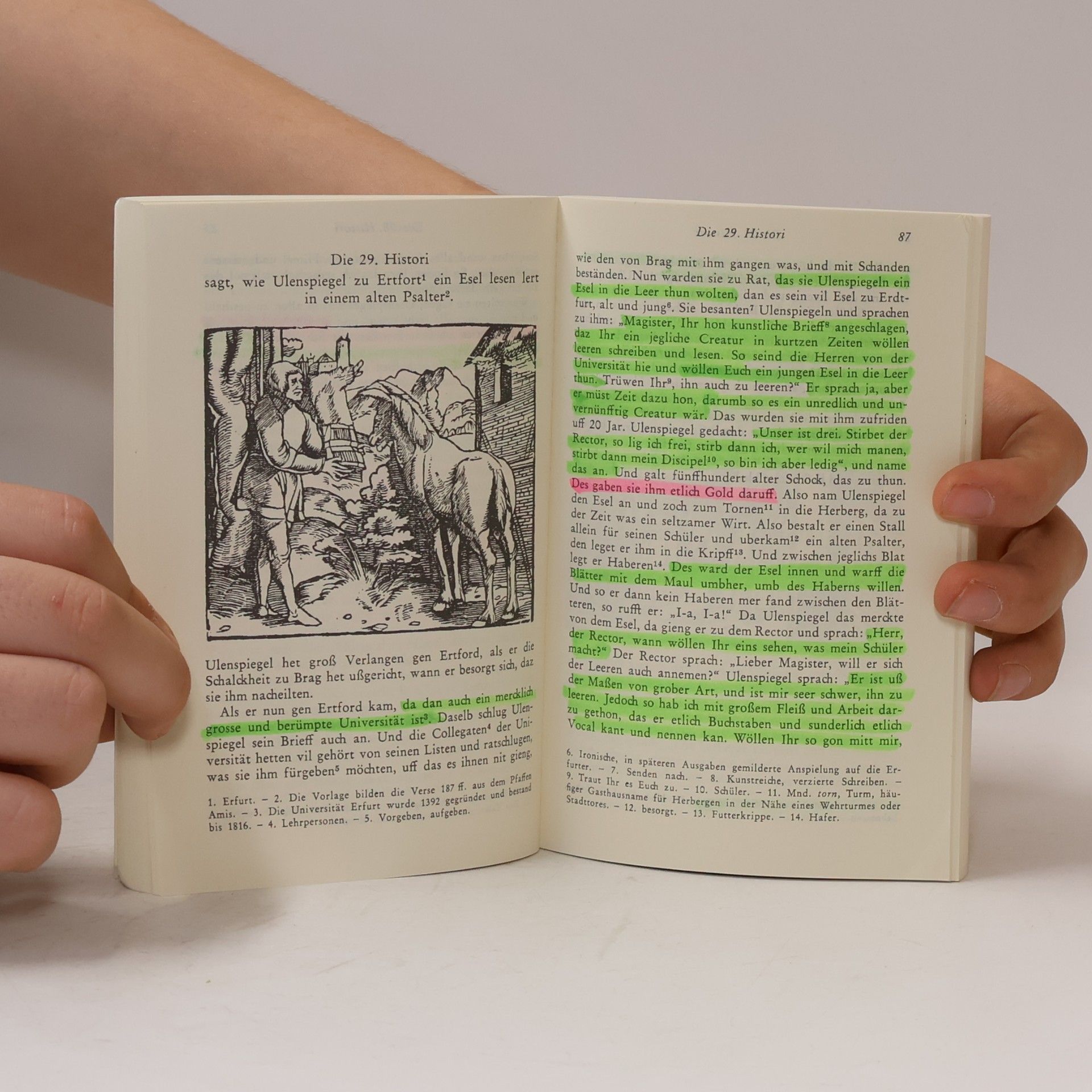 Wolfgang Lindow Ein kurtzweilig Lesen von Dil Ulenspiegel