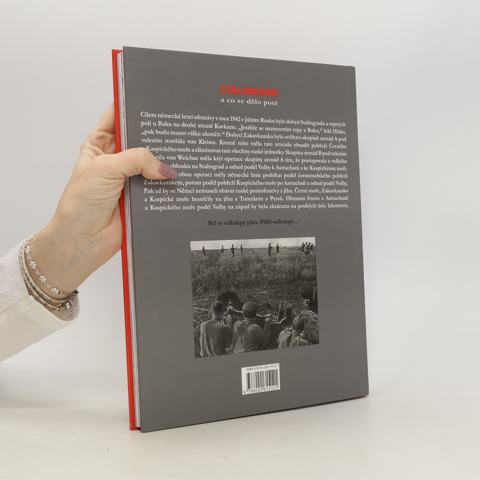 C. W. Cornelis Willem Star Busmann Stalingrad a co se dělo poté : druhá světová válka