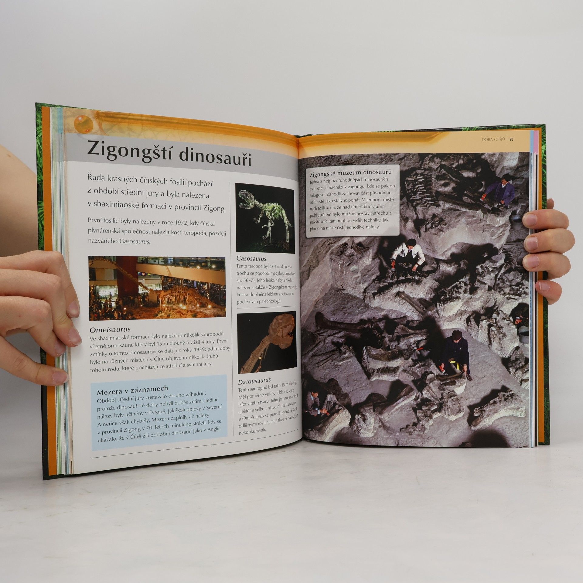 Michael J. Benton Poznávej věci kolem sebe. Dinosauři