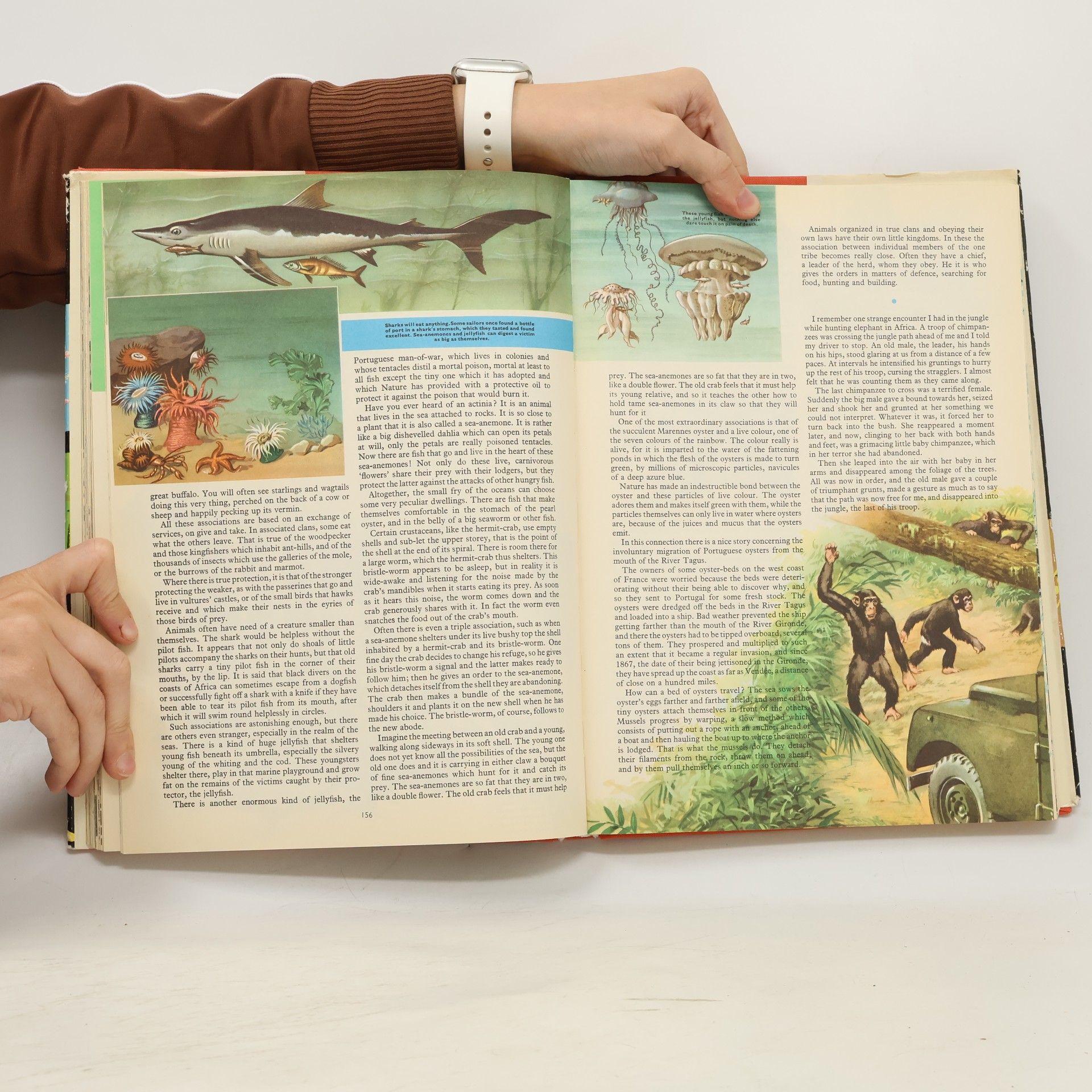 AA.VV. The New Encyclopedia for the Younger Generation