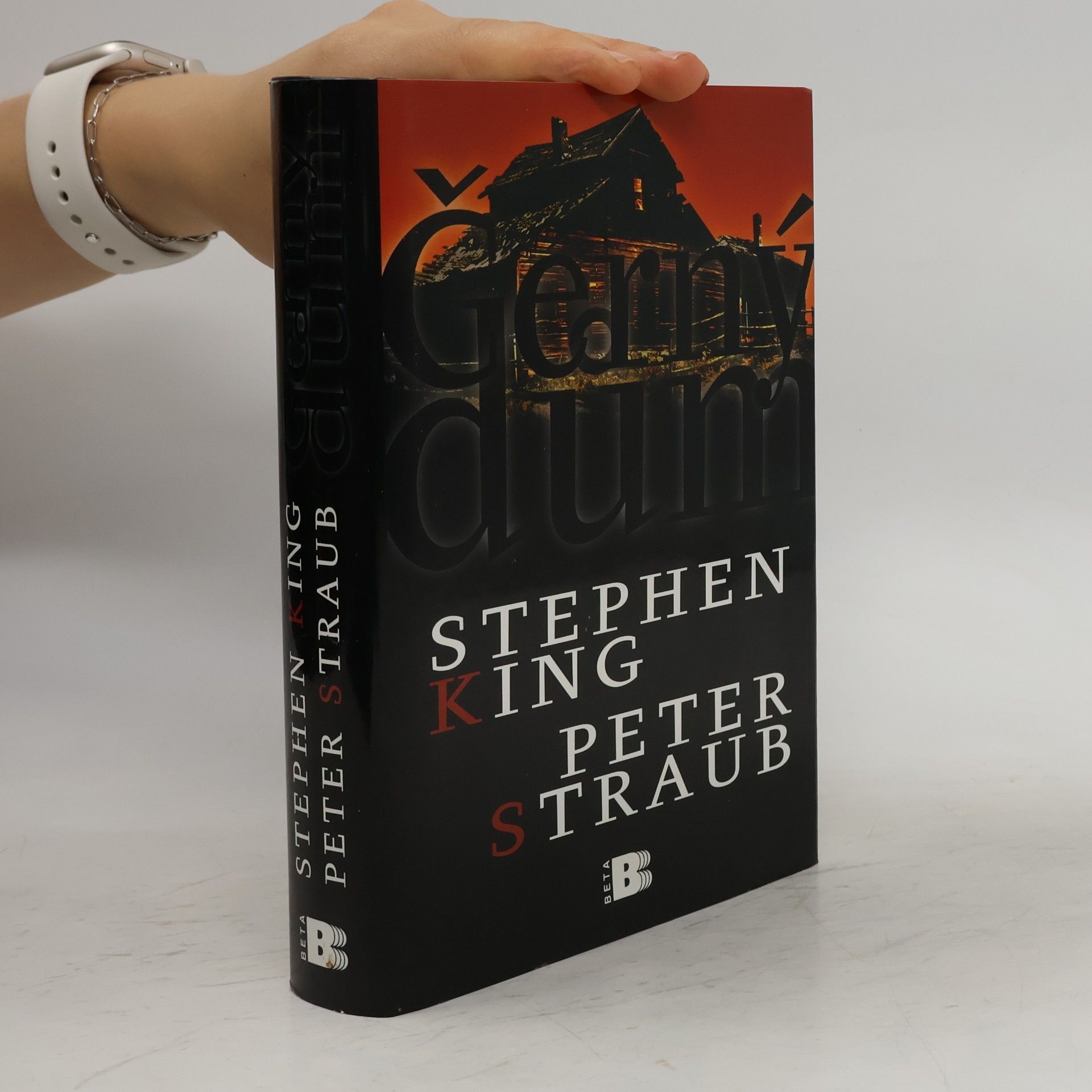 Stephen King Černý dům