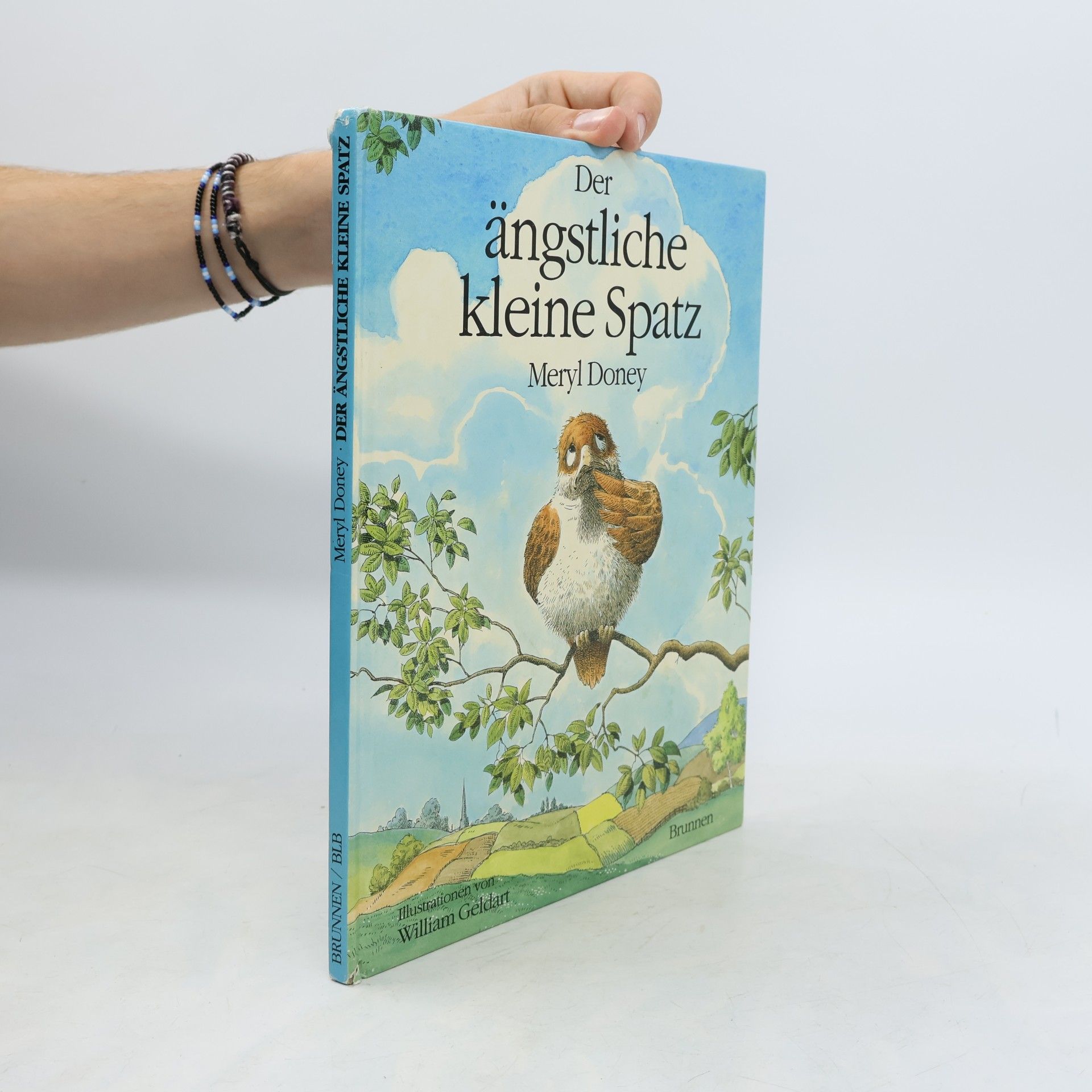 Meryl Doney Der ängstliche kleine Spatz