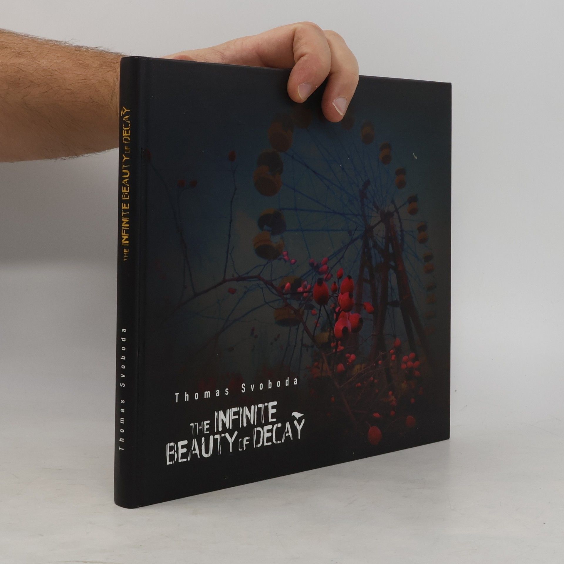 The Infinite Beauty of Decay