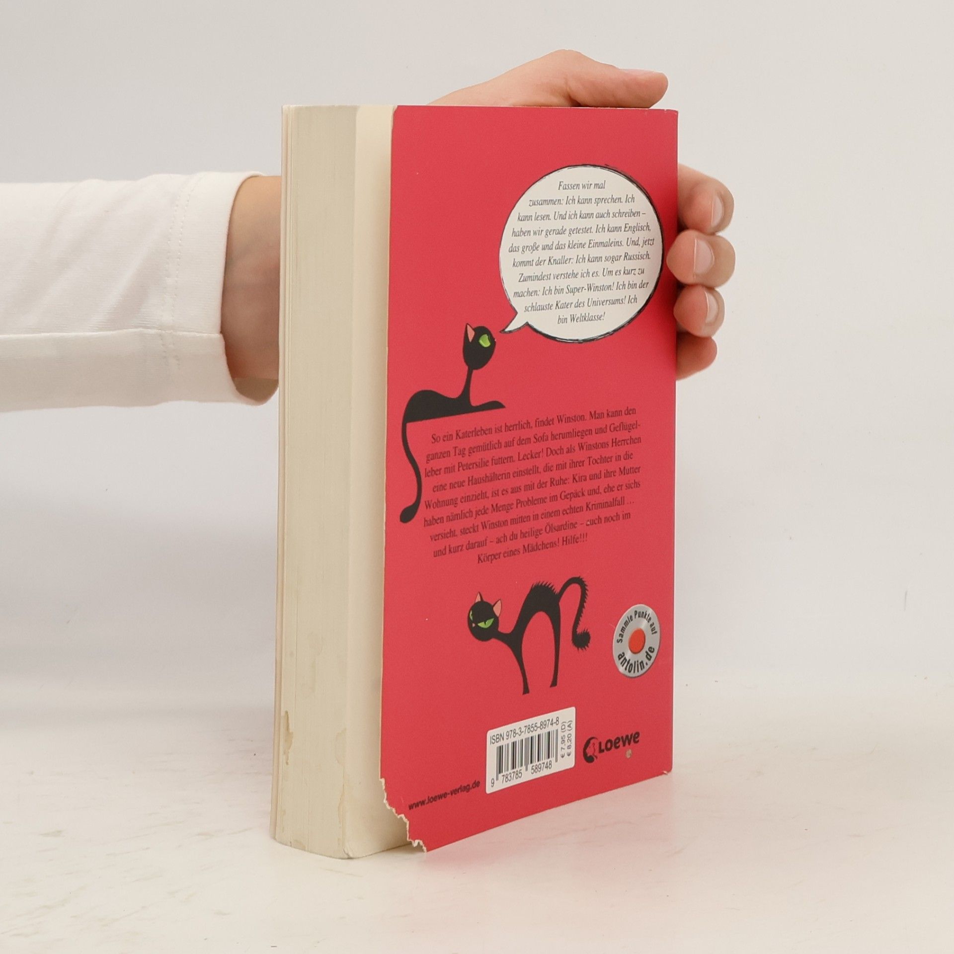 Frauke Scheunemann Ein Kater in geheimer Mission