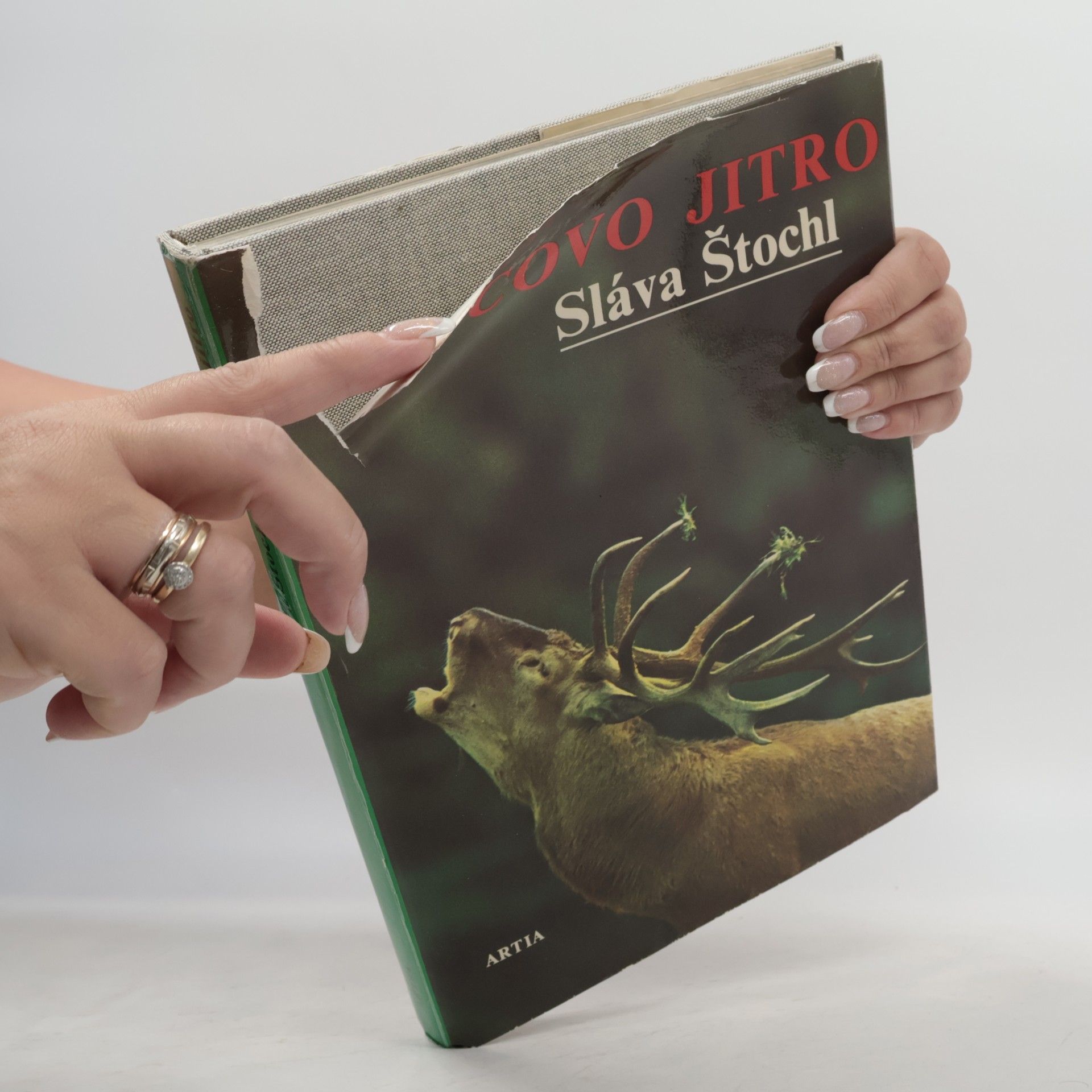 Sláva Štochl Lovcovo jitro