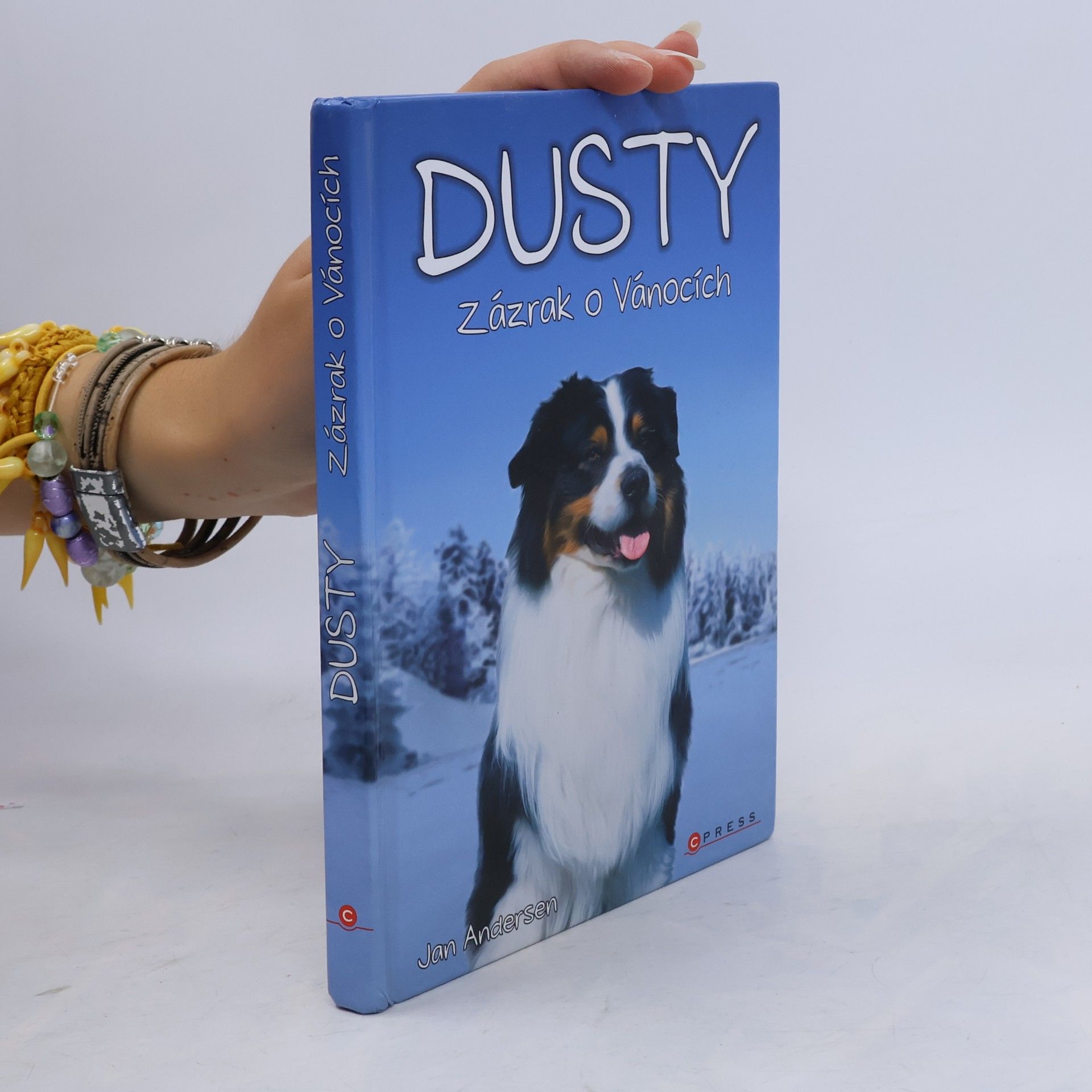 Wolfram Hänel Dusty: Zázrak o Vánocích