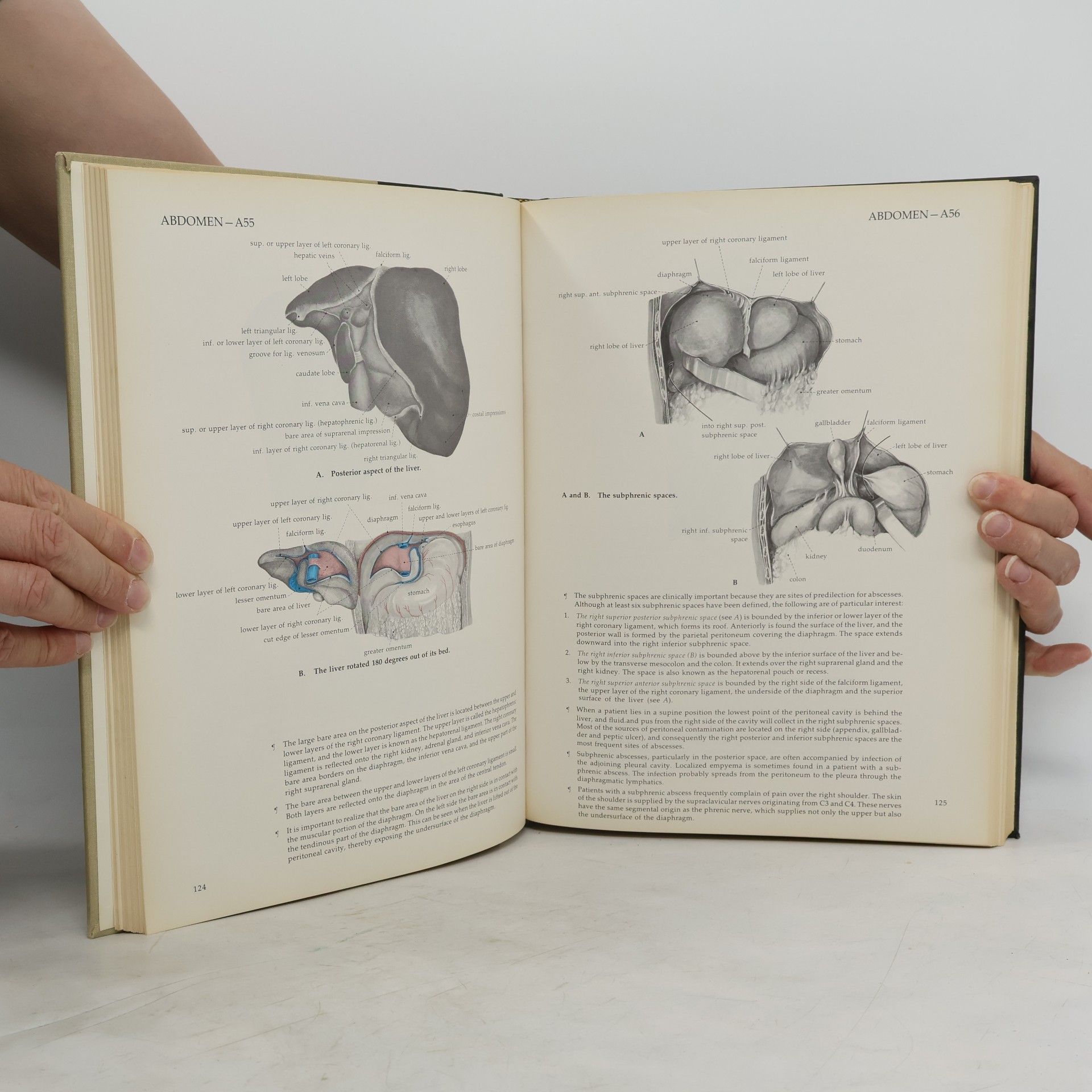 Jan Langman Atlas of medical anatomy