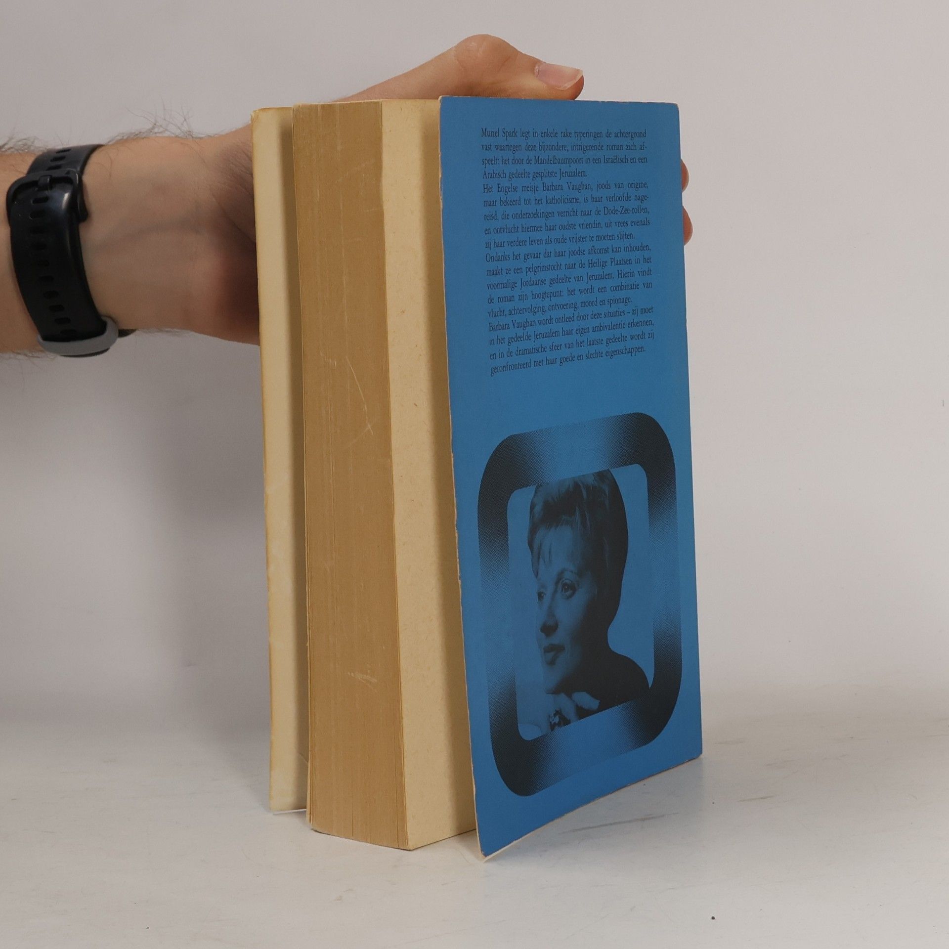 Muriel Spark De Mandelbaumpoort (Maxi-kaderreeks)
