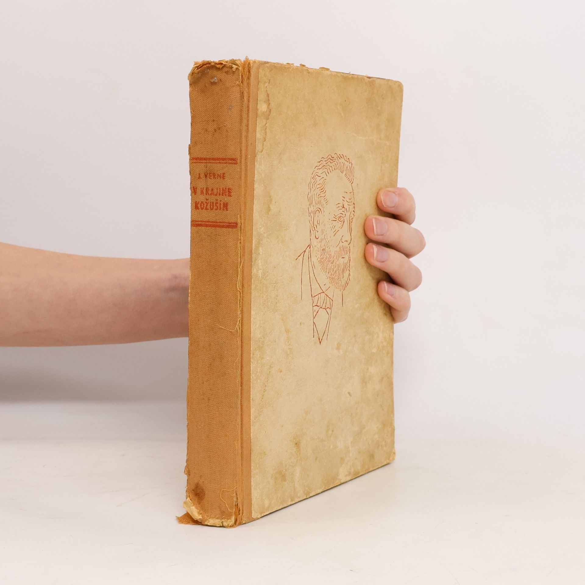 Jules Verne V krajine kožušín