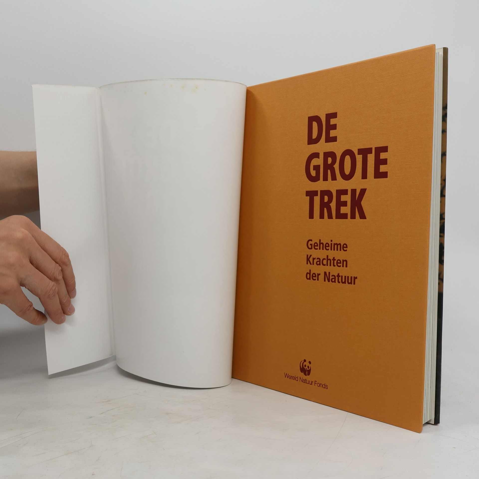 Unknown Author De grote trek