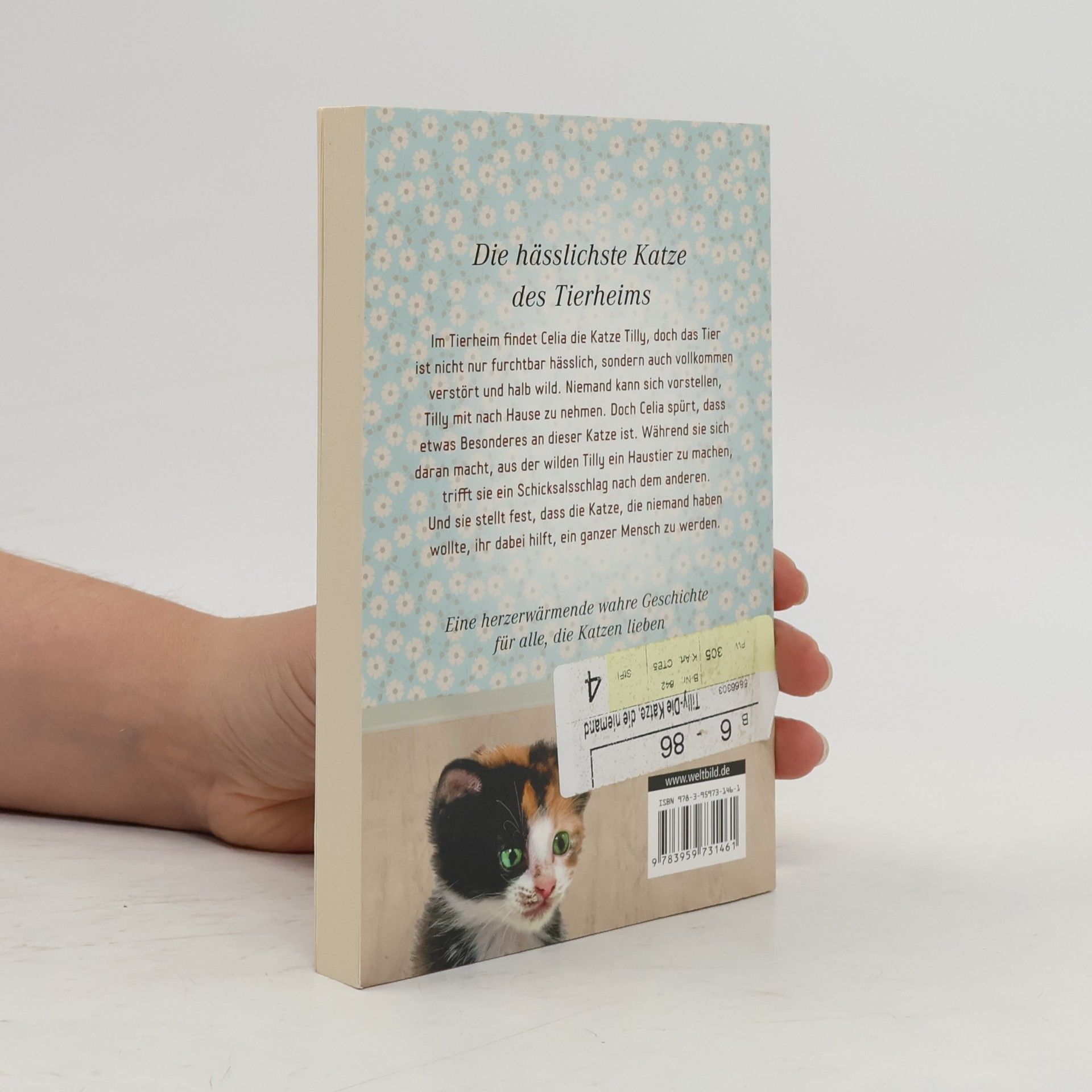 Celia Haddon Tilly - die Katze, die niemand haben wollte