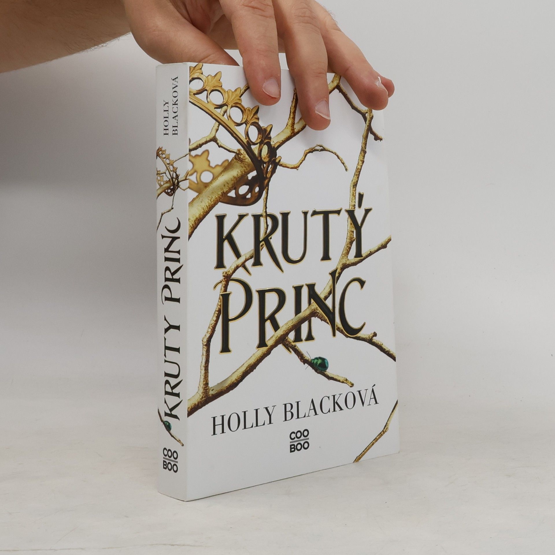 Holly Black Krutý princ