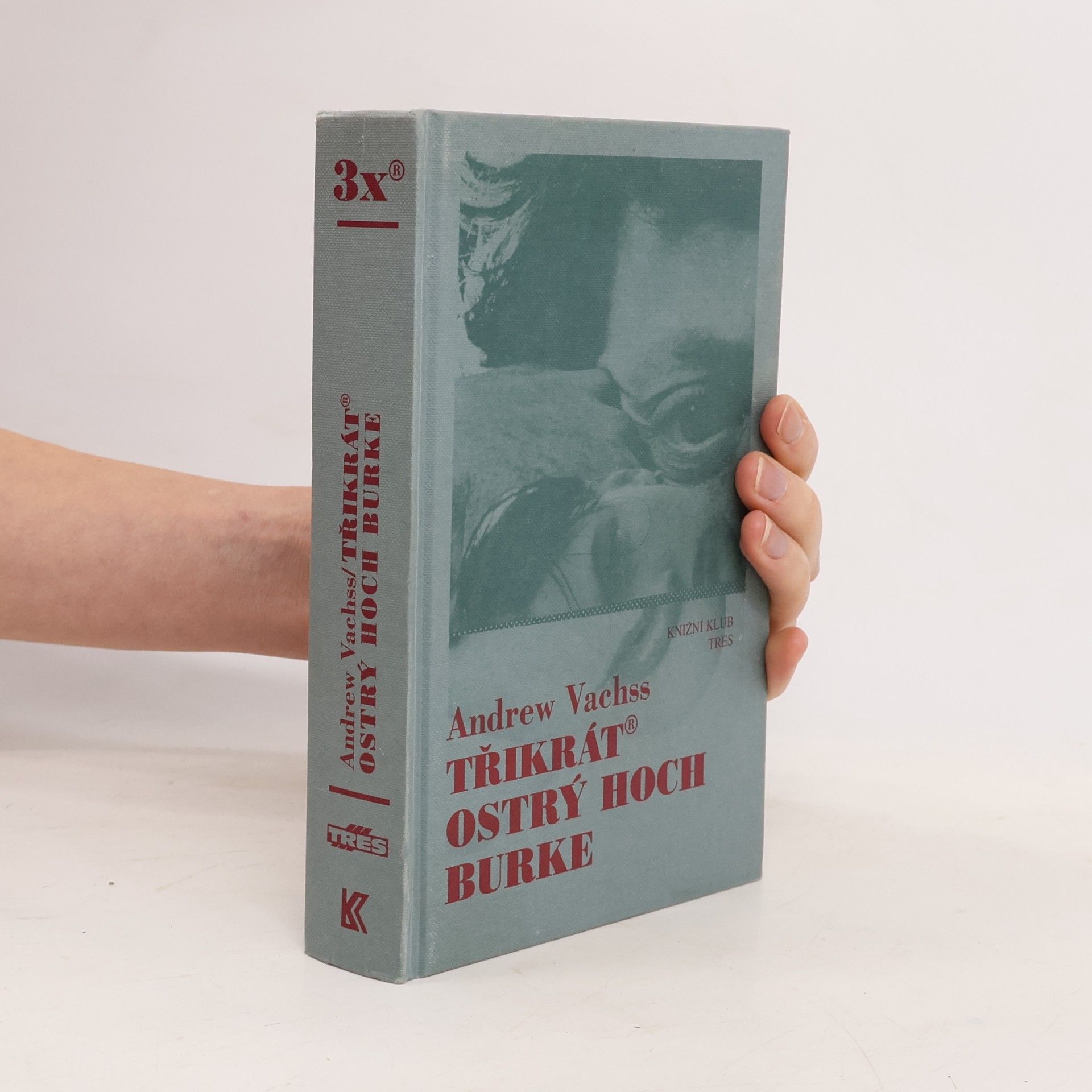 Andrew H. Vachss Třikrát ostrý hoch Burke