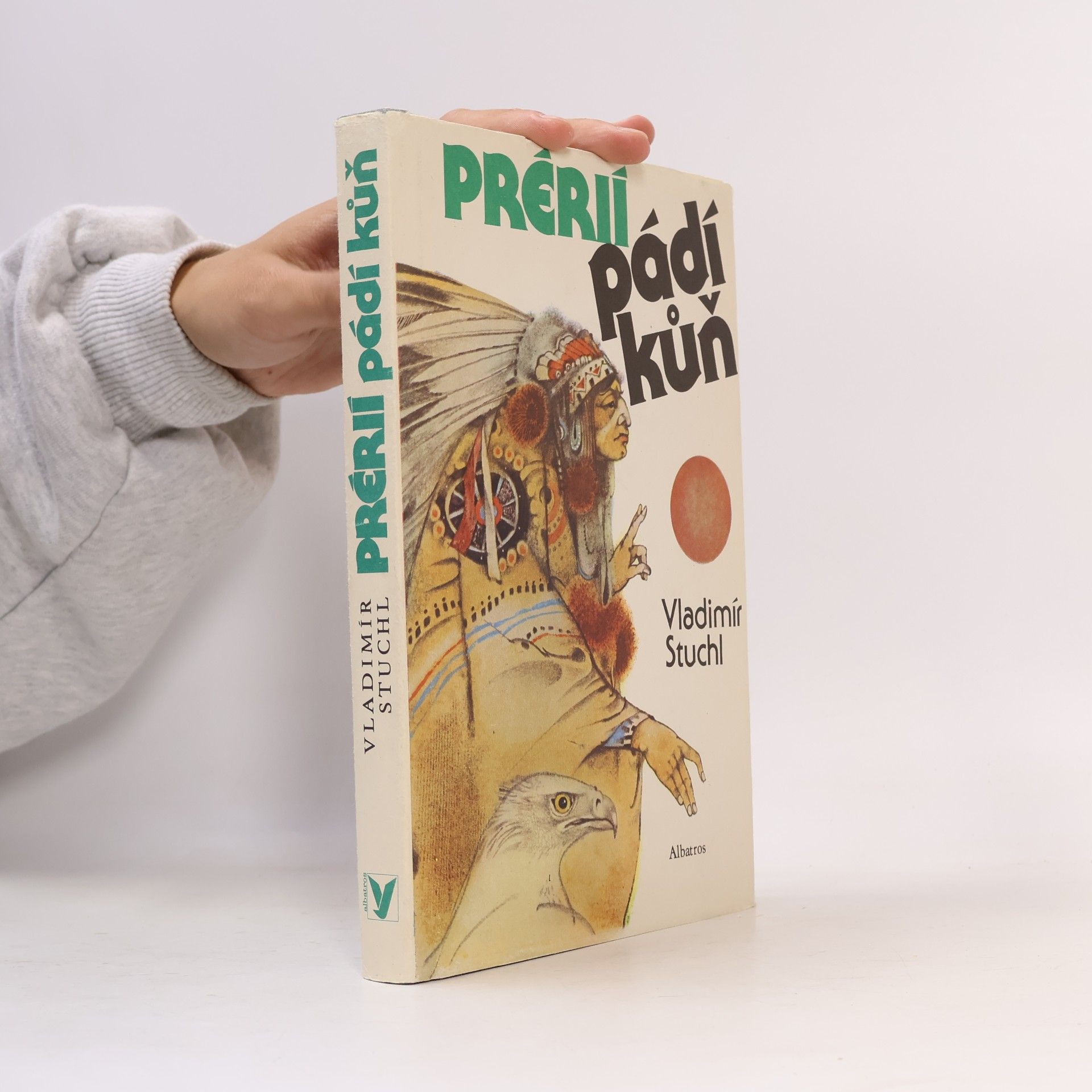 Prérií pádí kůň