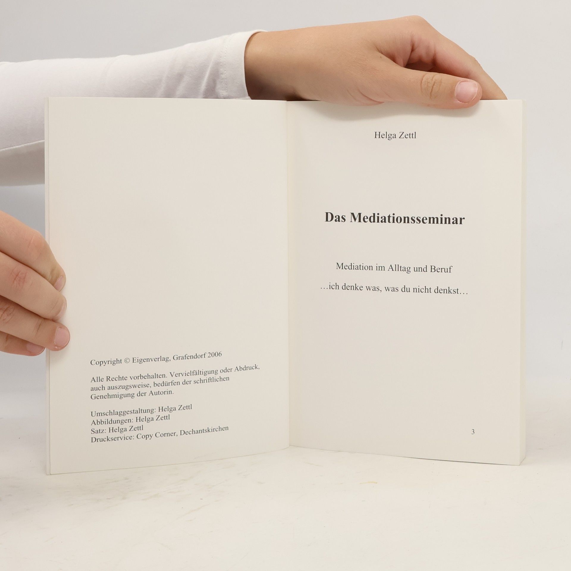 Helga Zettl Das Mediationsseminar: Mediation im Alltag und Beruf