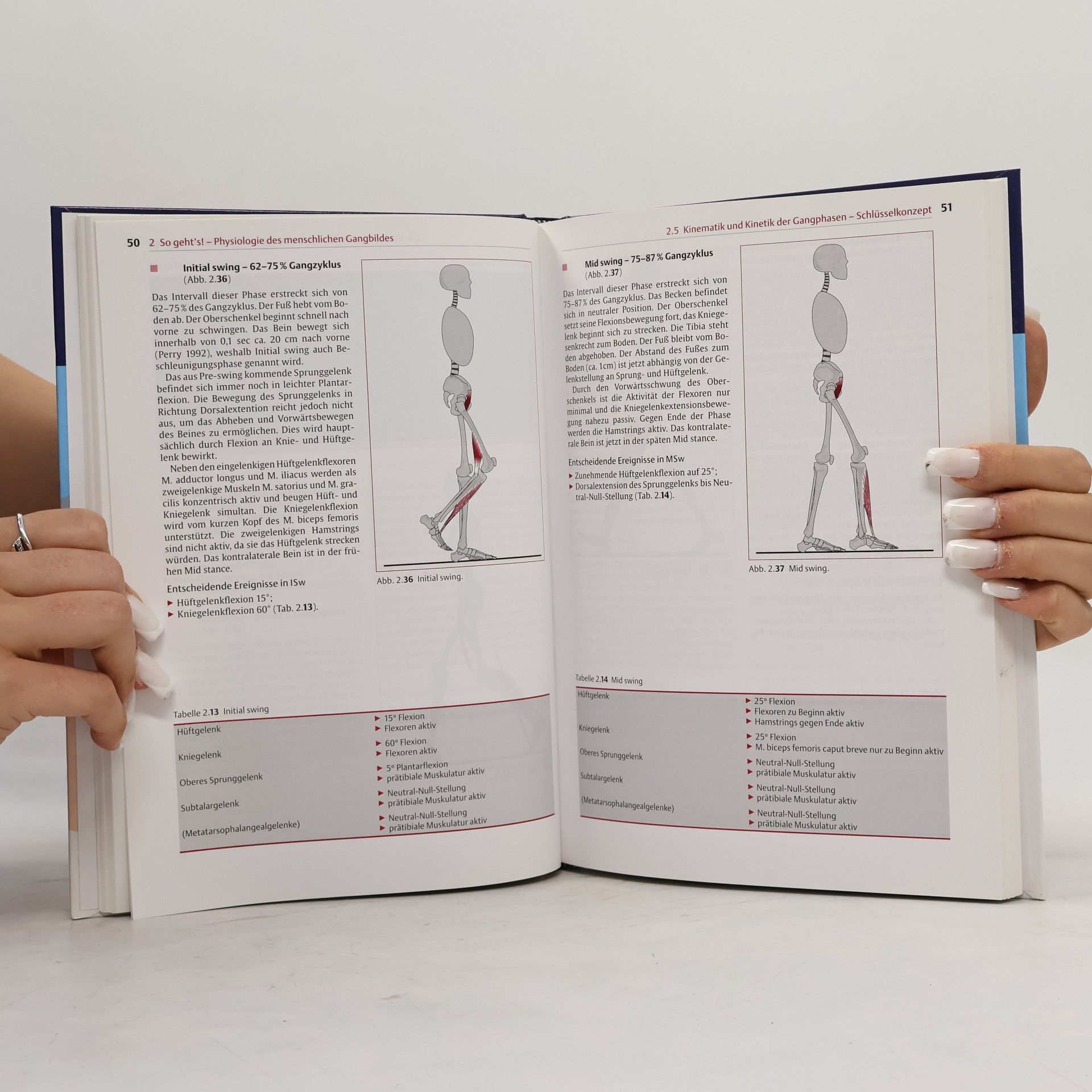 Kirsten Götz-Neumann Physiofachbuch: Gehen verstehen. Ganganalyse in der Physiotherapie - 3. Auflage