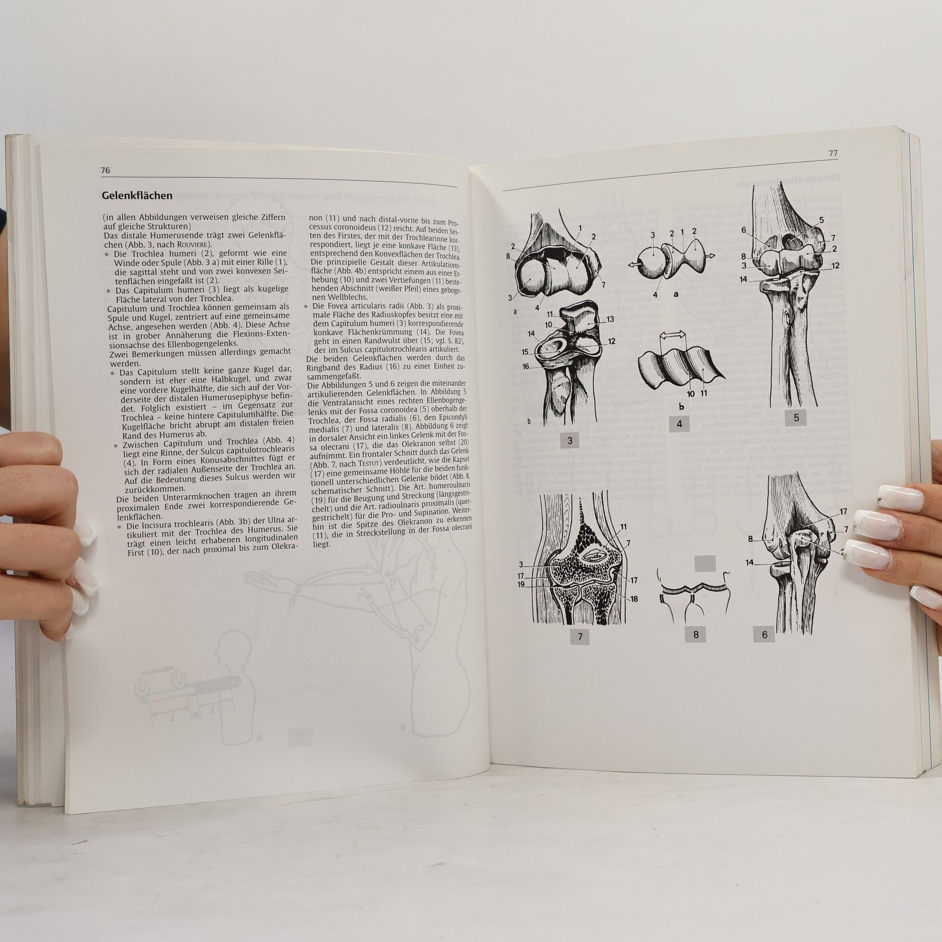 Adalbert Ibrahim Kapandji Funktionelle Anatomie der Gelenke - 4., unveränderte Auflage