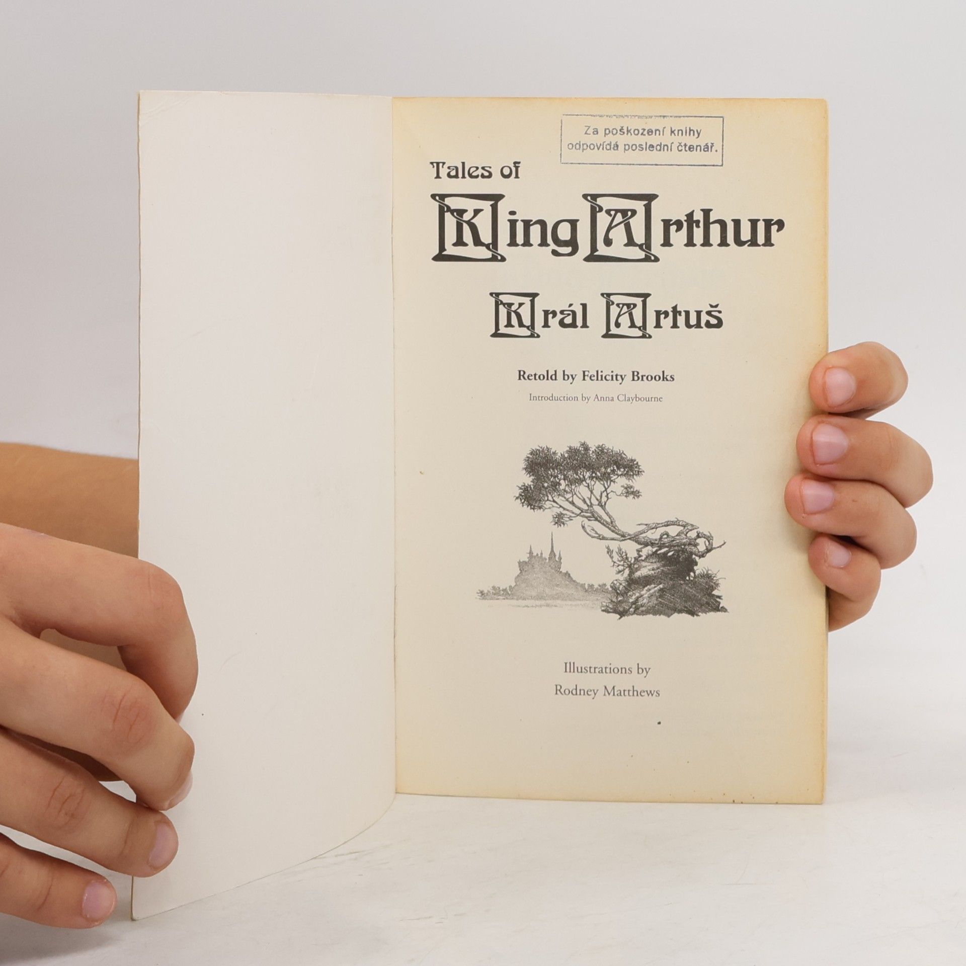 Felicity Brooks Král Artuš = Tales of King Arthur