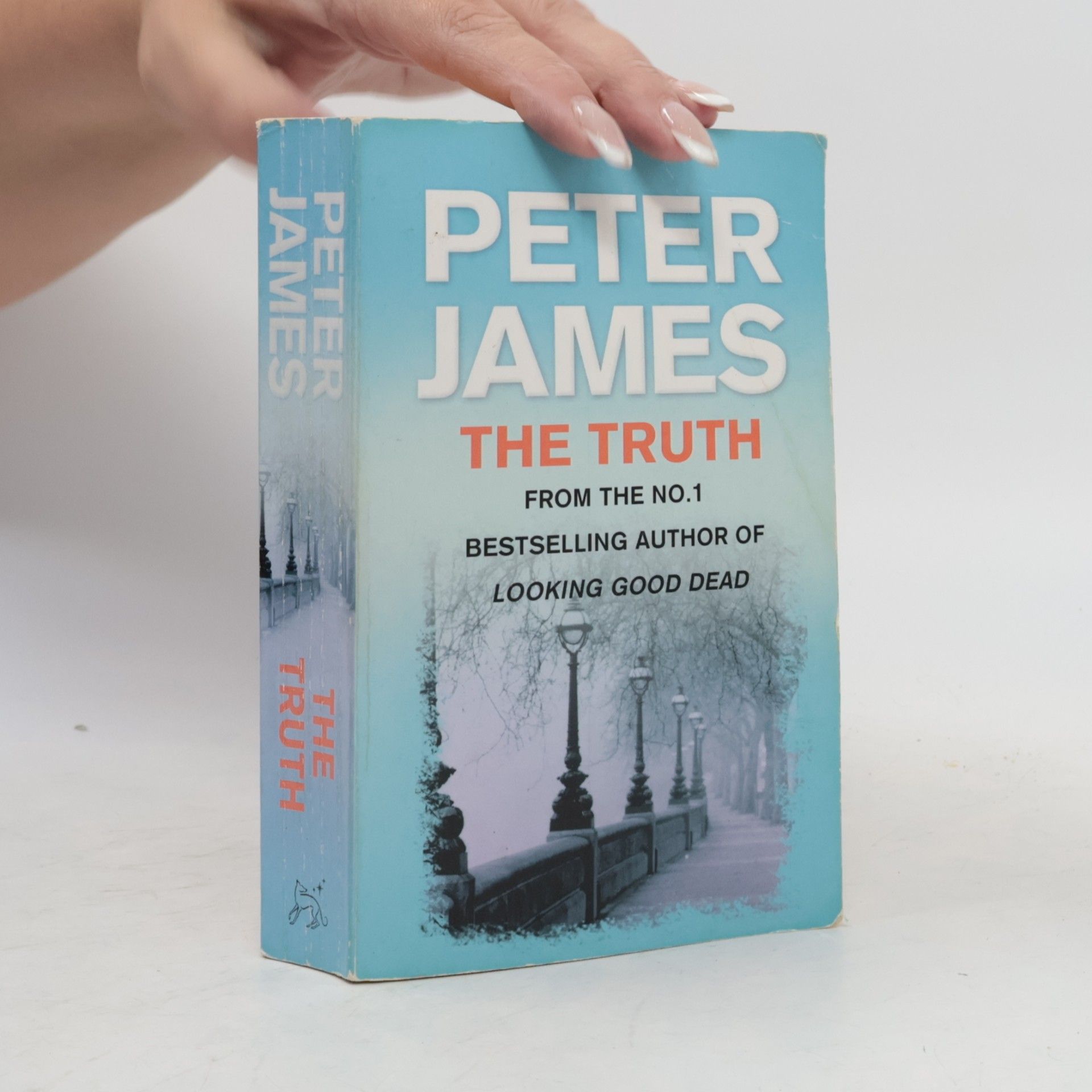 Peter James The Truth