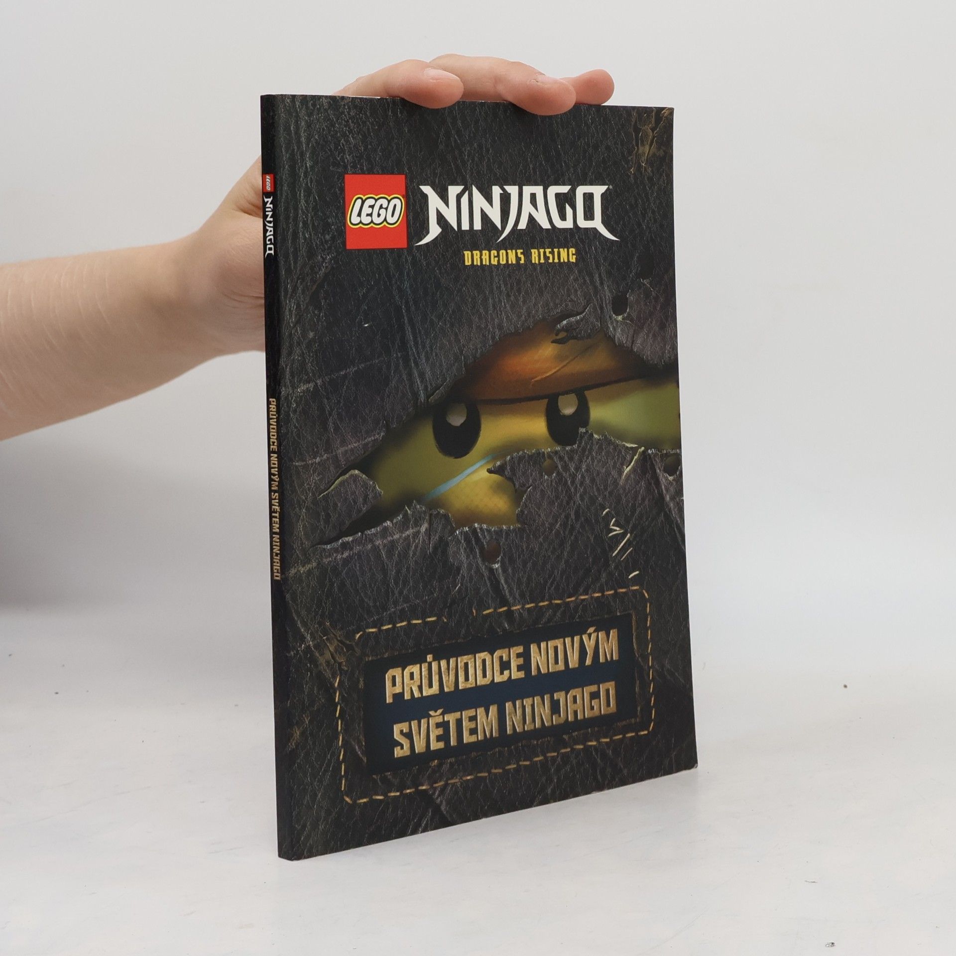 kolektiv Průvodce novým světem Ninjago