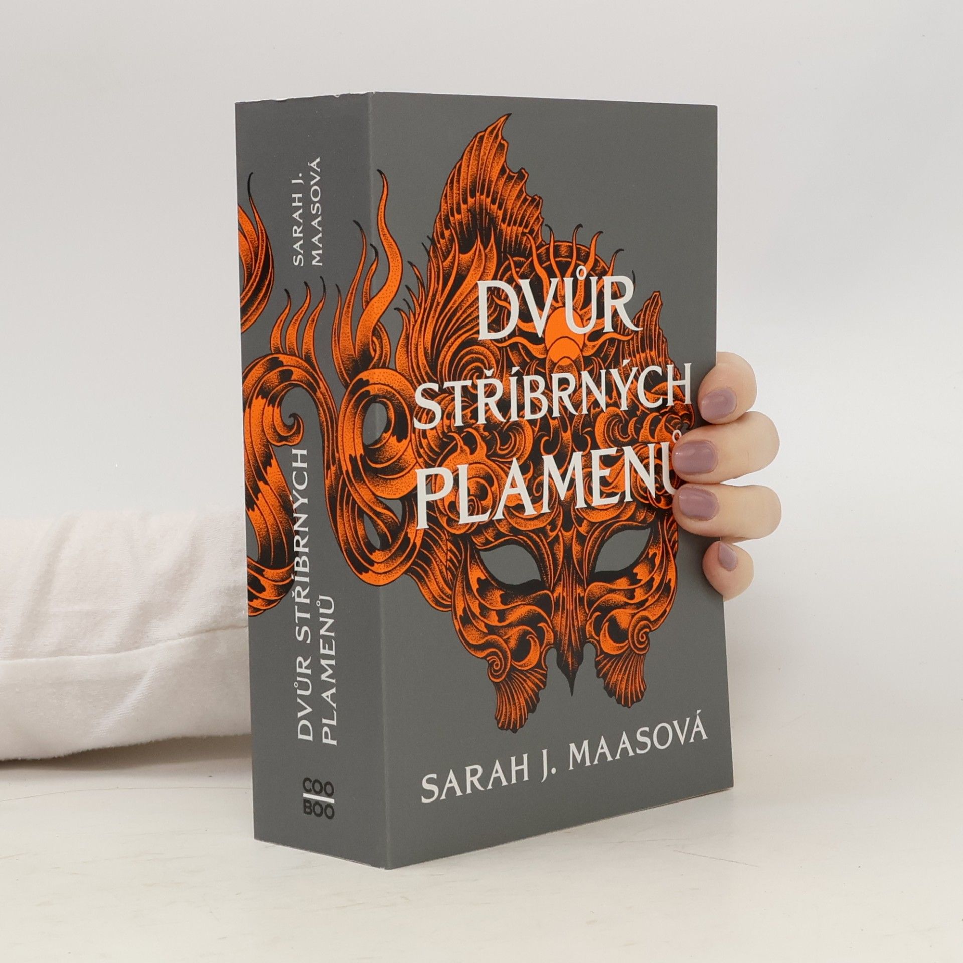 Sarah J. Maas Dvůr stříbrných plamenů