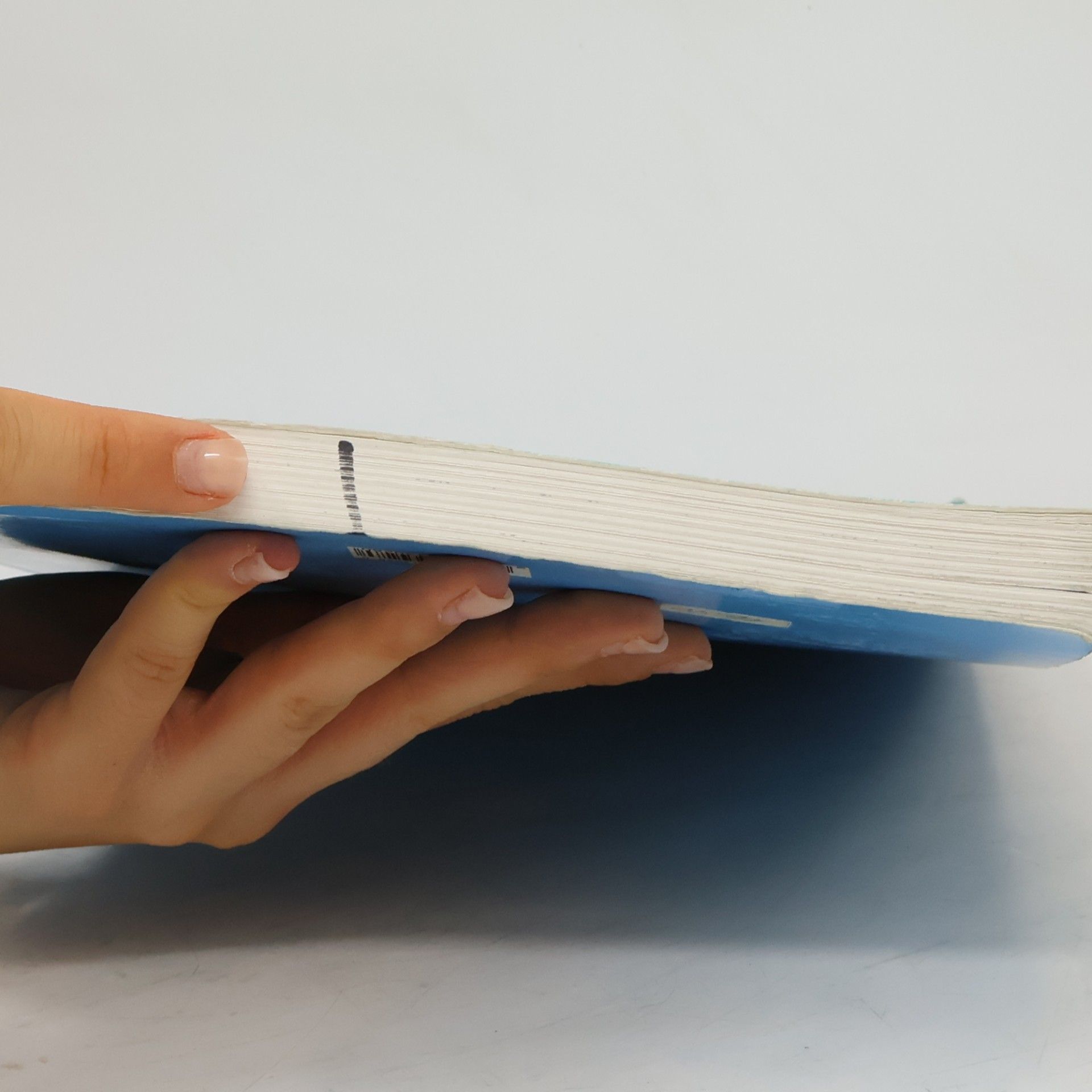 Eva Bobzin Das große Rücksitz-Reise-Buch