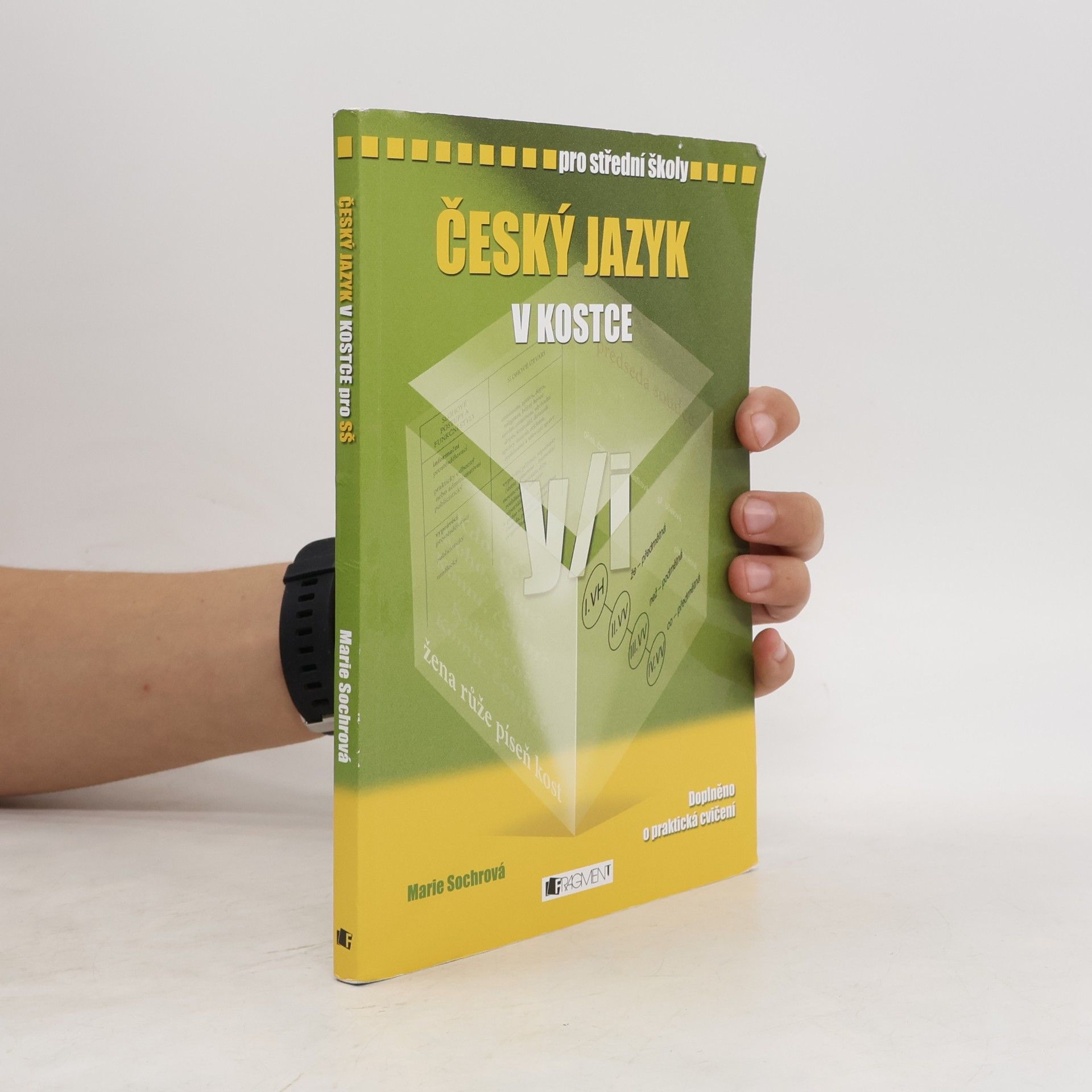 Marie Sochrová Český jazyk v kostce : pro střední školy