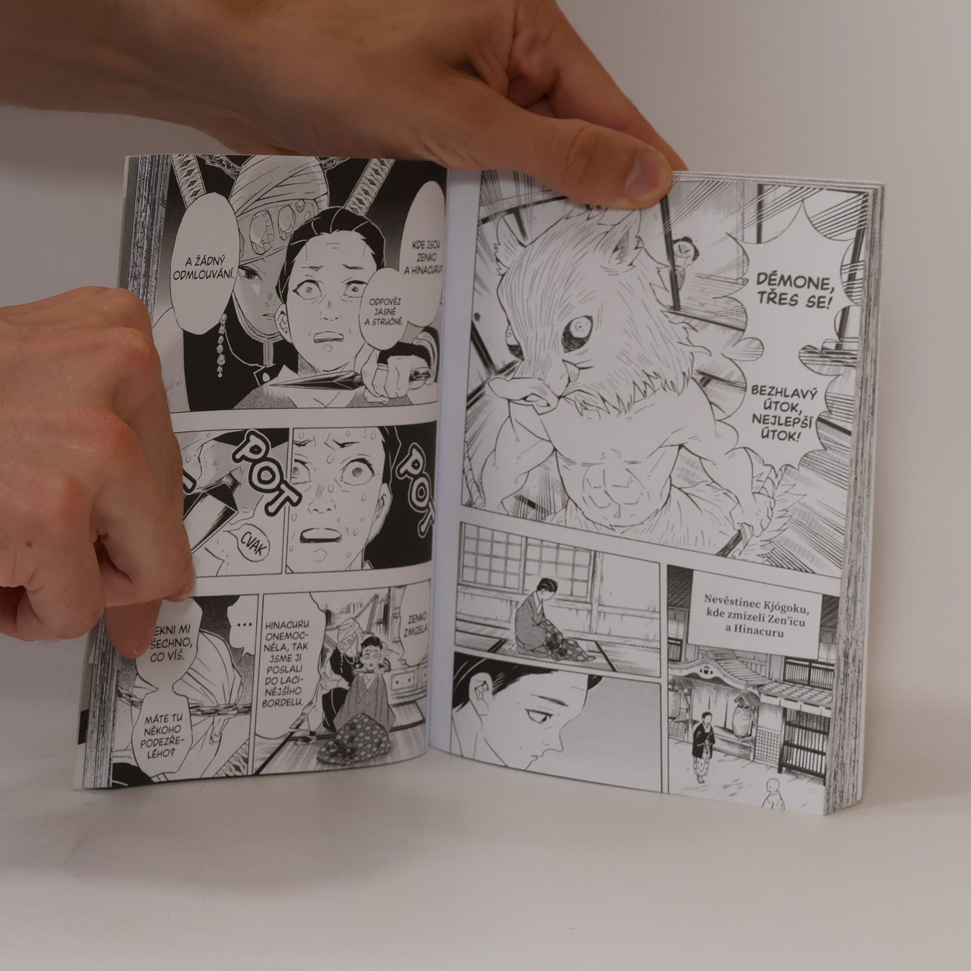 Koyoharu Gotoge Zabiják démonů 9: Velká infiltrace vykřičené čtvrti