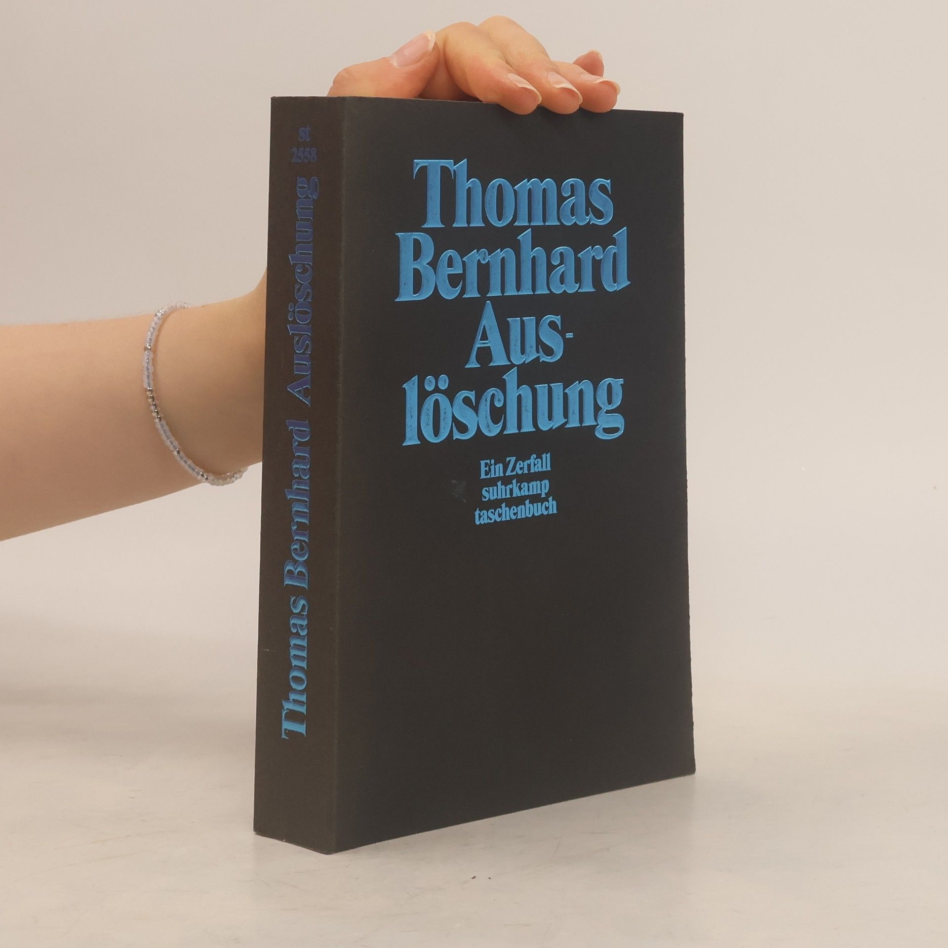 Thomas Bernhard Auslöschung