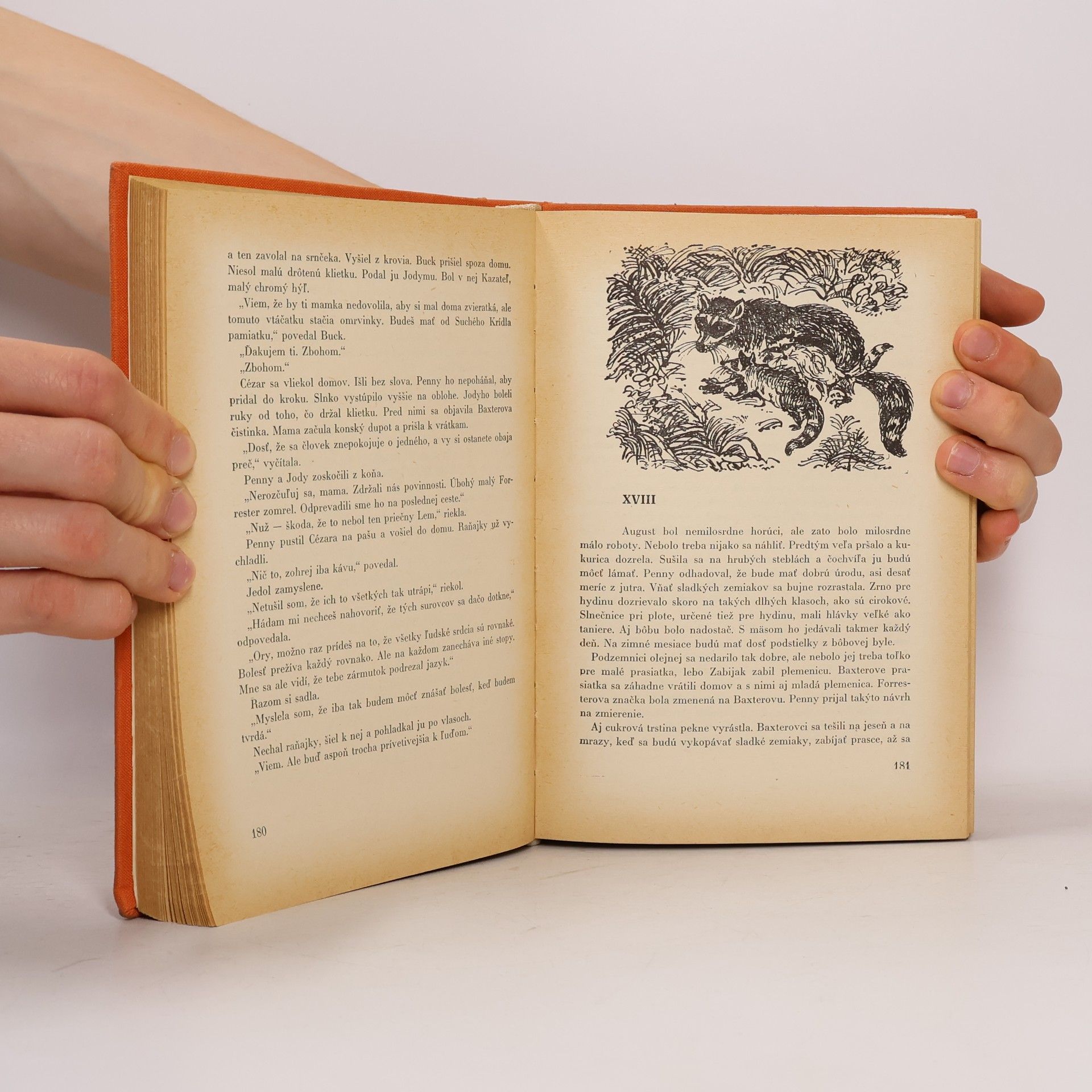 Marjorie Kinnan Rawlings Dieťa divočiny