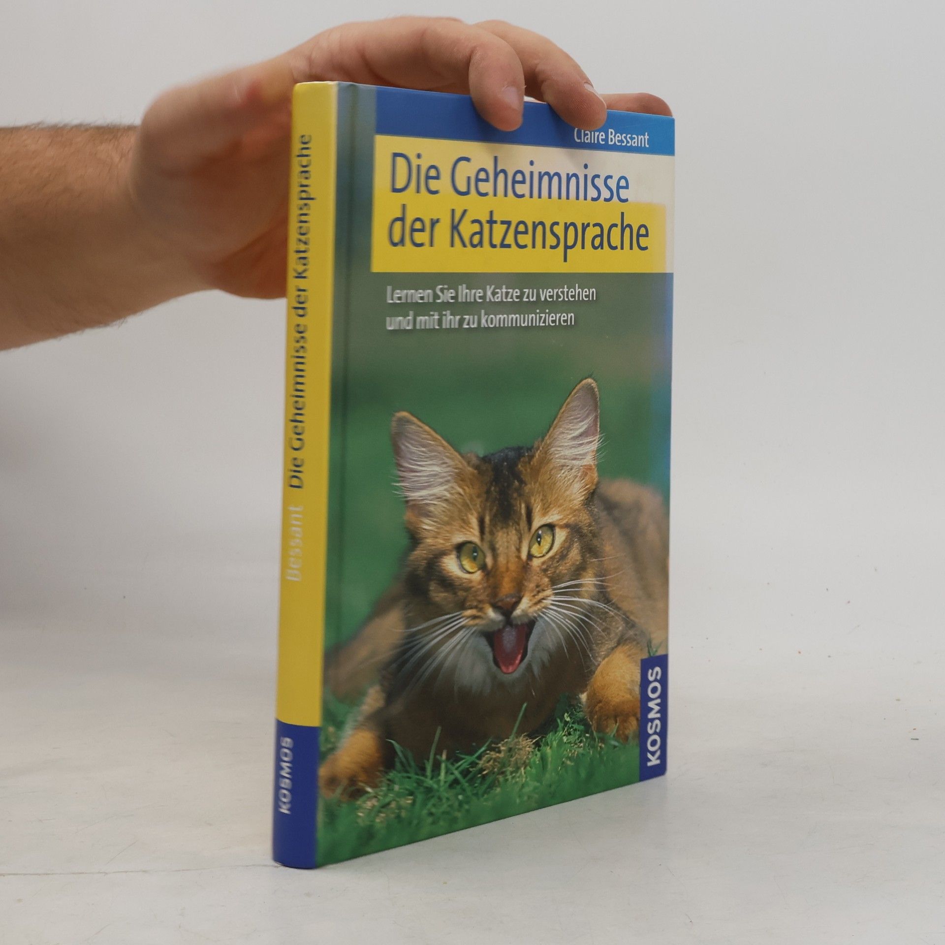 Claire Bessant Die Geheimnisse der Katzensprache
