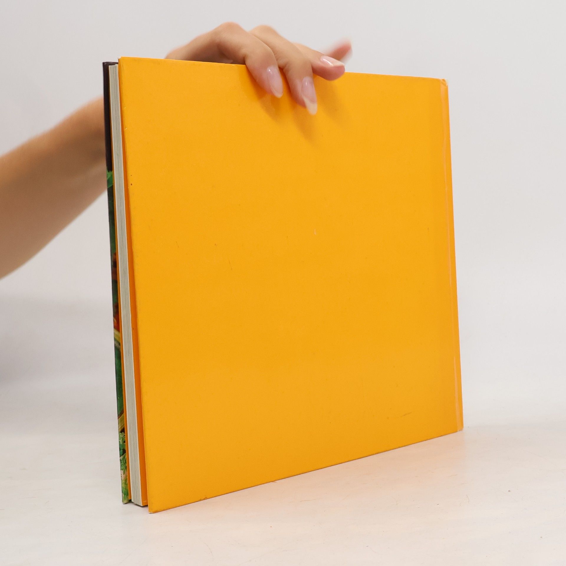 kolektiv Raffiniertes- einfach zubereitet. Ein Pfanni Kochbuch