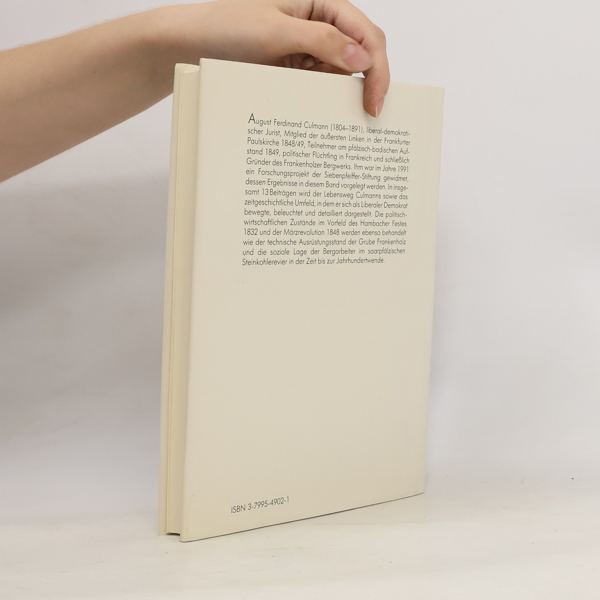 Hans Walter Herrmann Schriften der Siebenpfeiffer-Stiftung - 2: Zwischen demokratischem Aufbegehren und industrieller Revolution