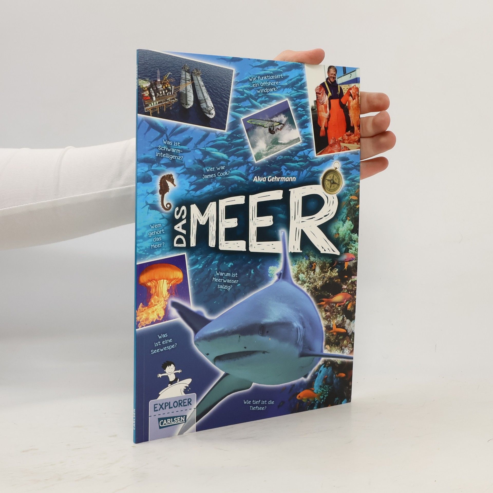 Alva Gehrmann Explorer - 8: Das Meer