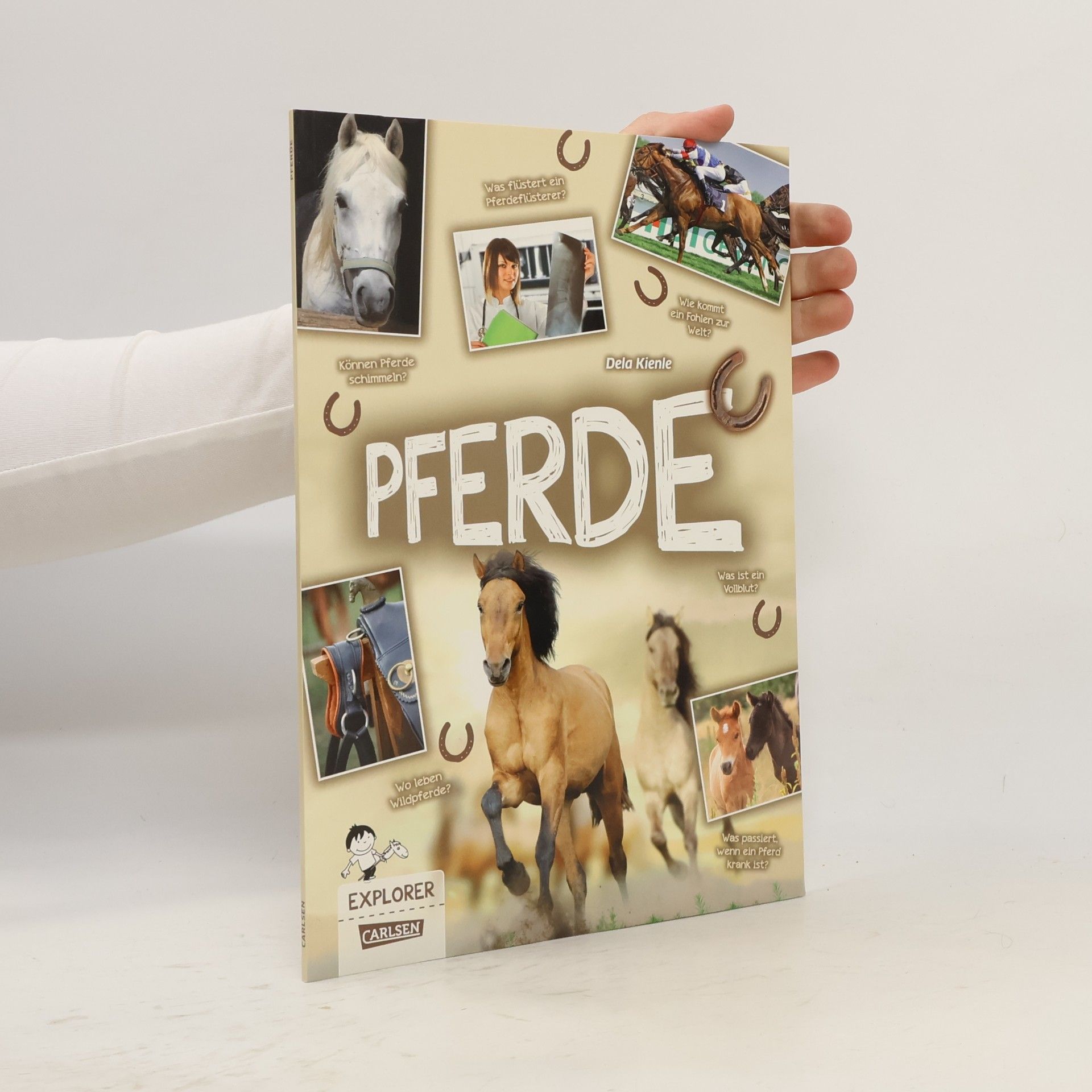 Dela Kienle Pferde