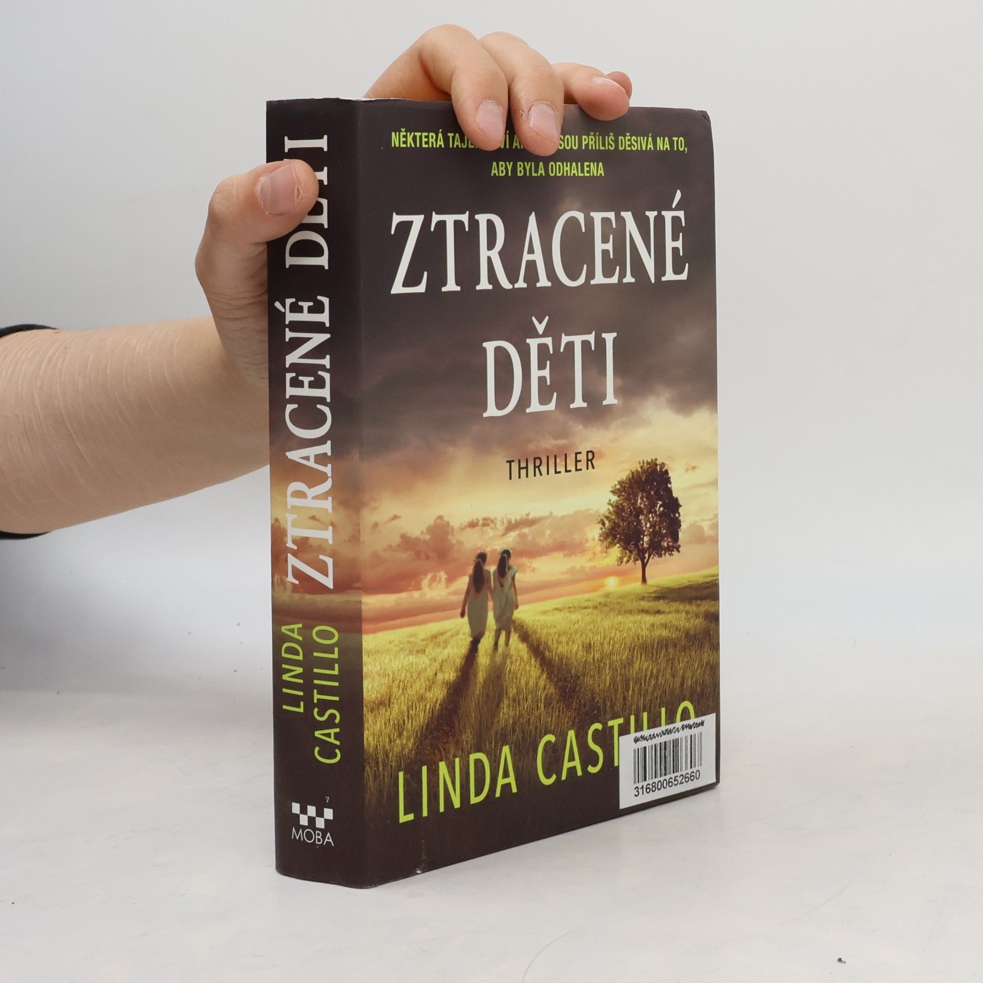 Linda Castillo Ztracené děti