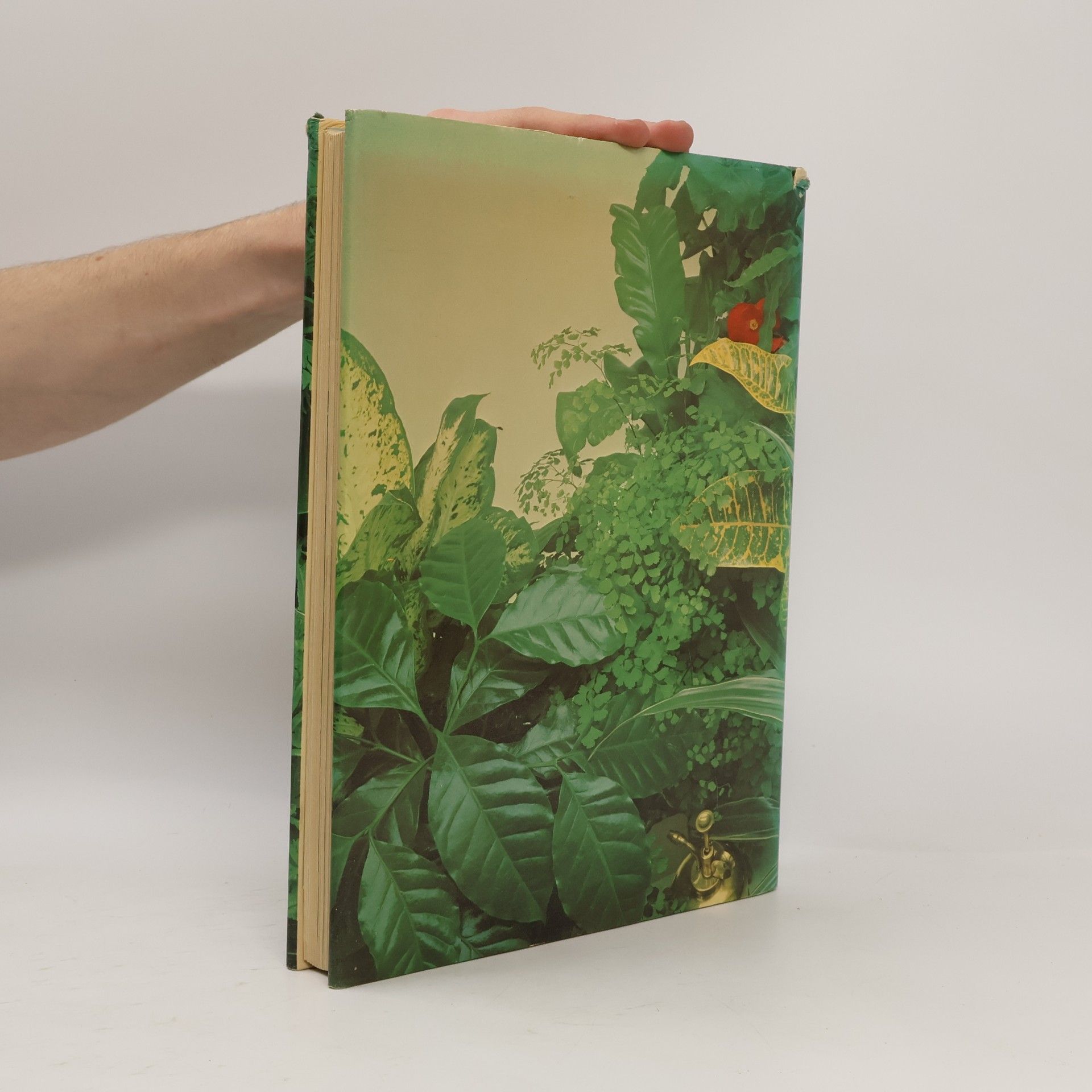 Cynthia Wickham House Plant Book
