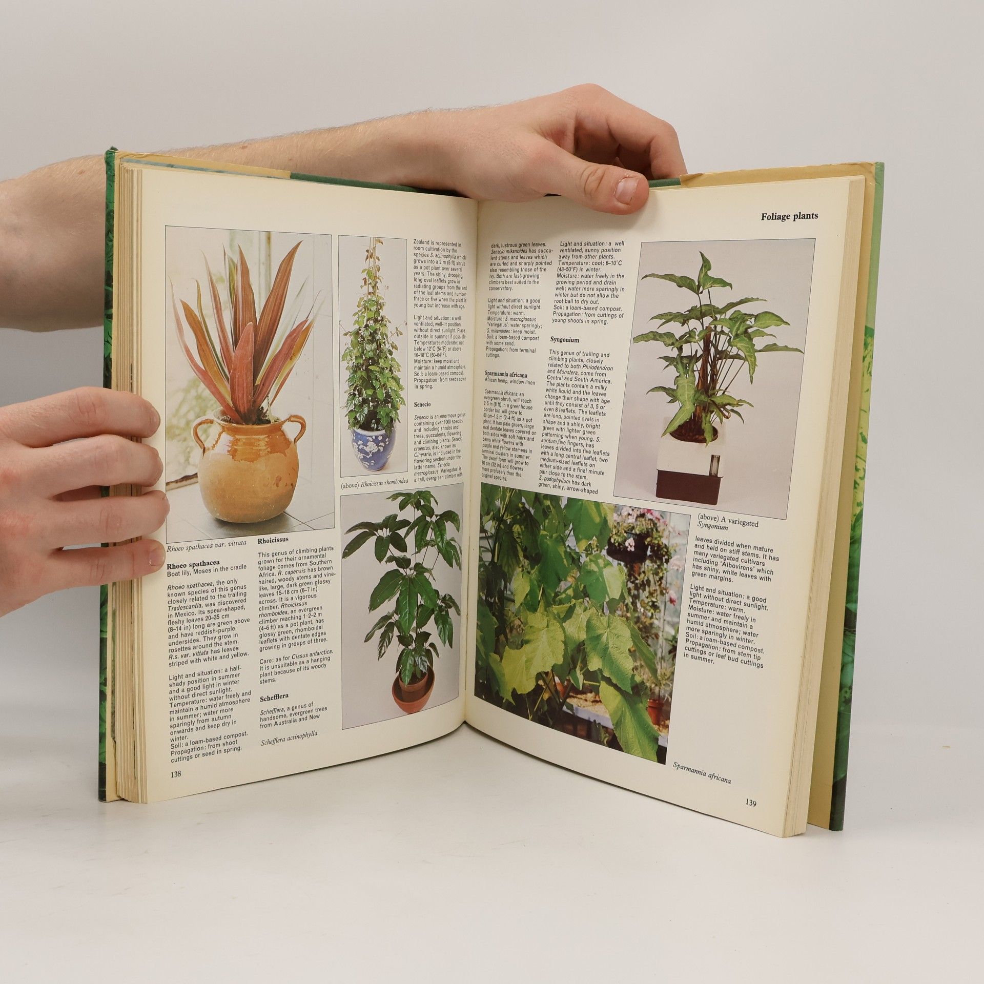 Cynthia Wickham House Plant Book
