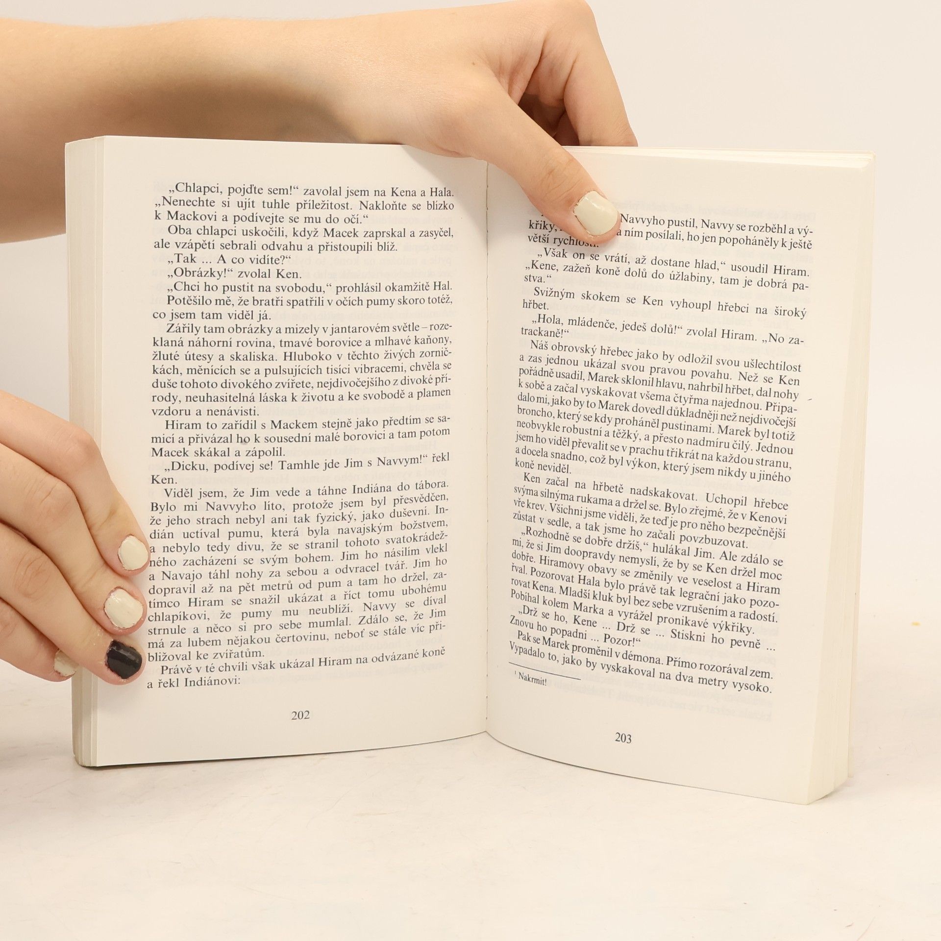 Zane Grey Dobrodružství Kena Warda