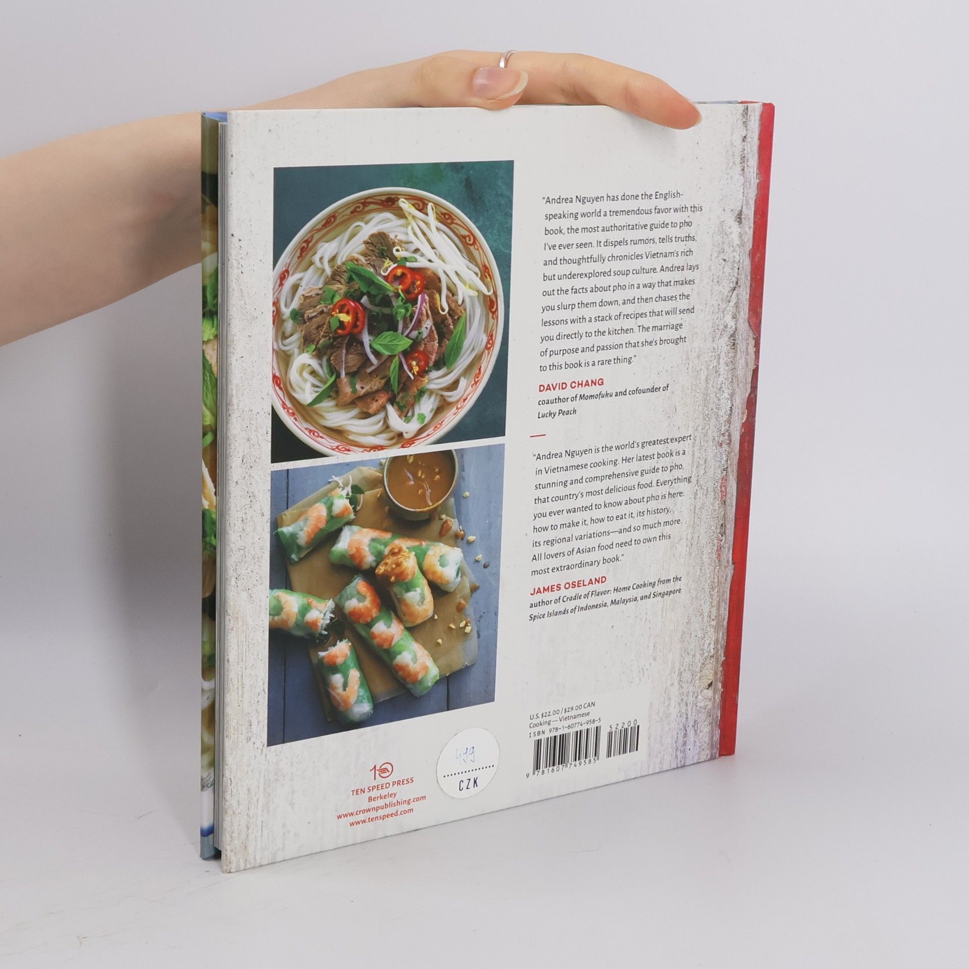Andrea Quynhgiao Nguyen The Pho Cookbook