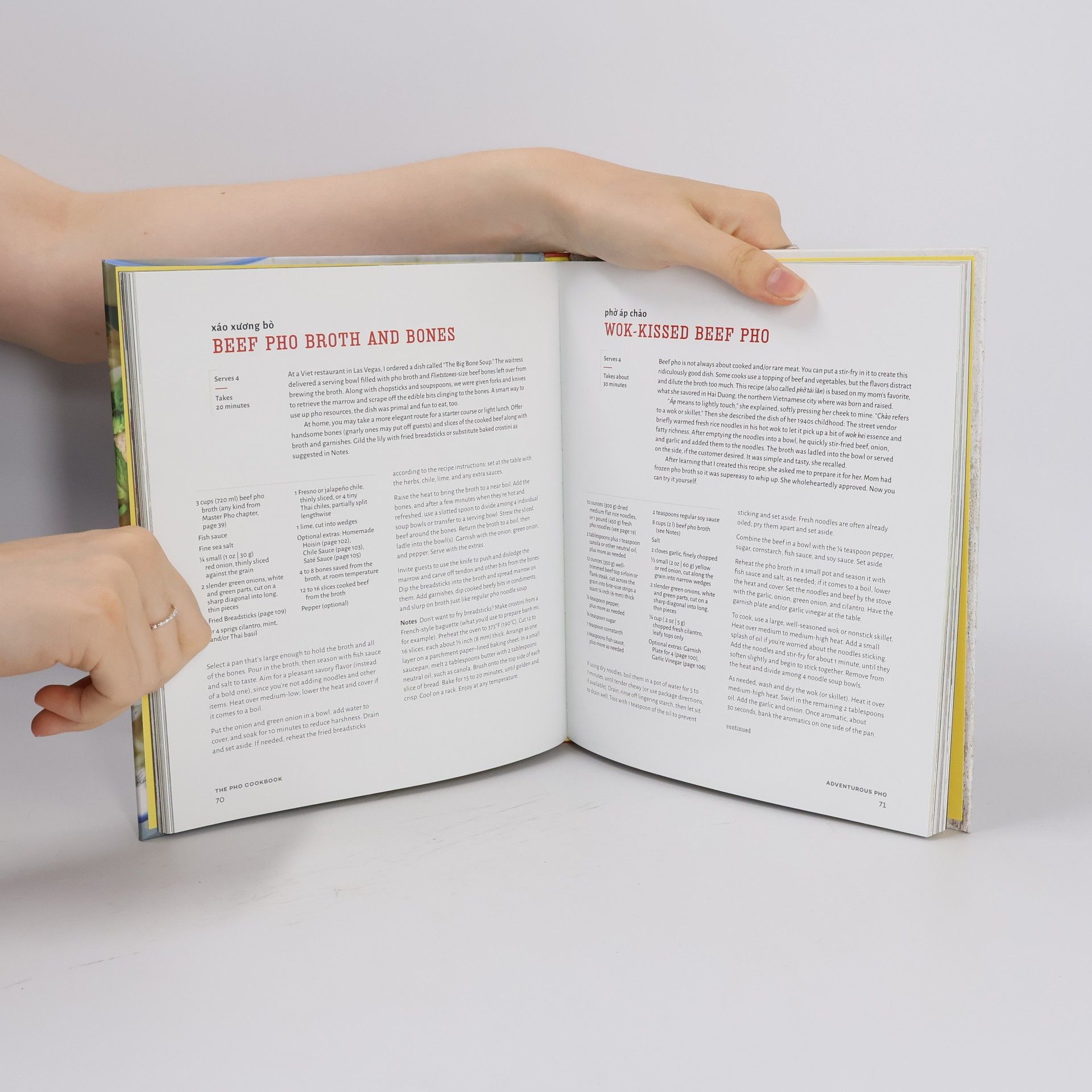 Andrea Quynhgiao Nguyen The Pho Cookbook