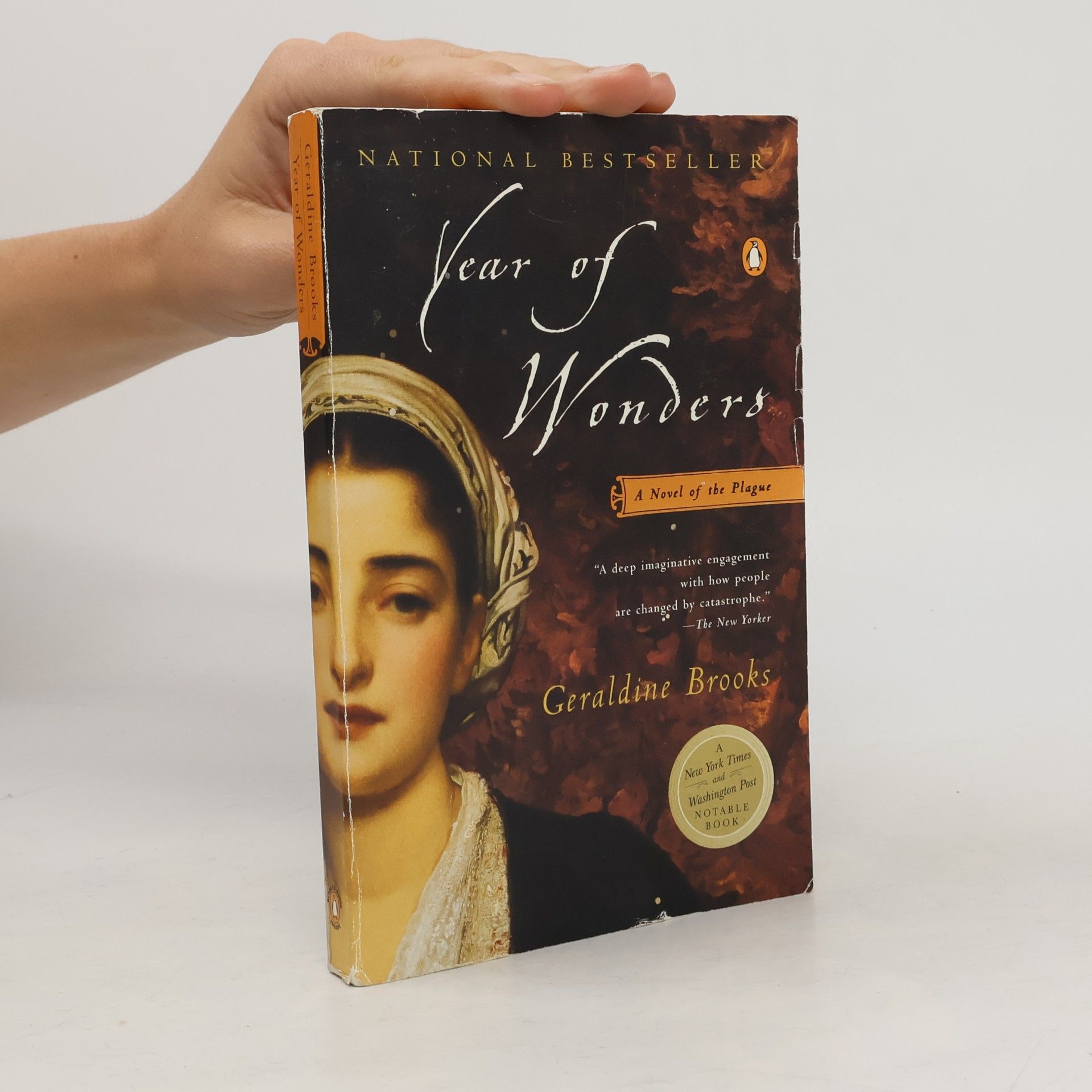 Geraldine Brooks Year of Wonders