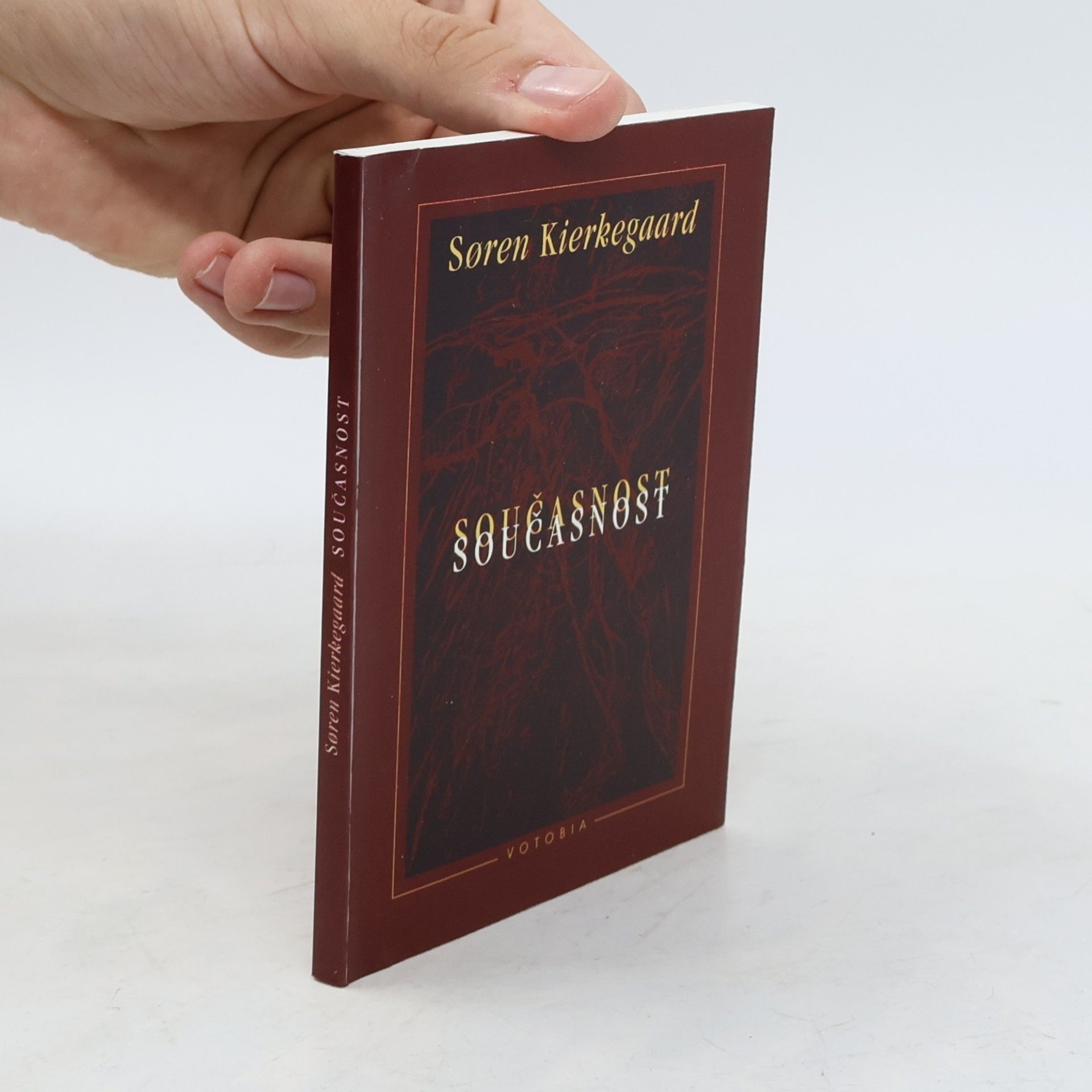 Søren Kierkegaard Současnost