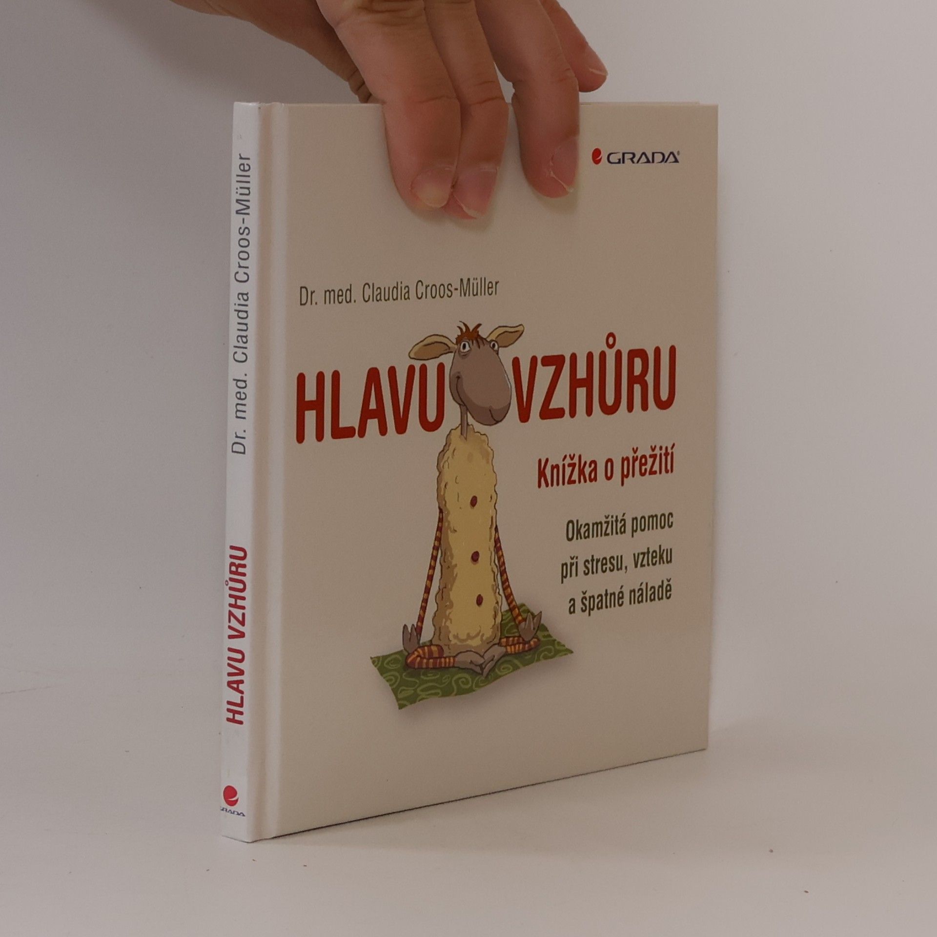 Hlavu vzhůru: Knížka o přežití : okamžitá pomoc při stresu, vzteku a špatné náladě